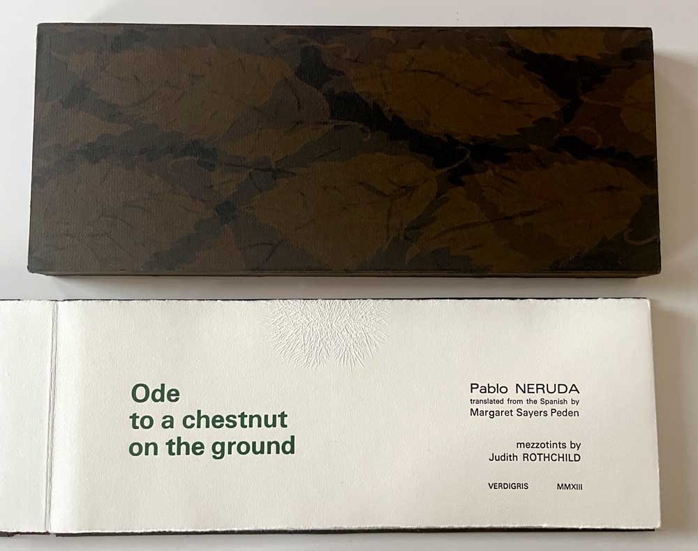 Ode to a chestnut on the ground, 2013 (Copy)