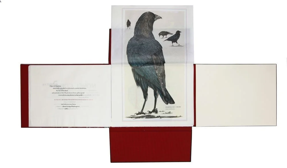 American Crow | Midnight Paper Sales