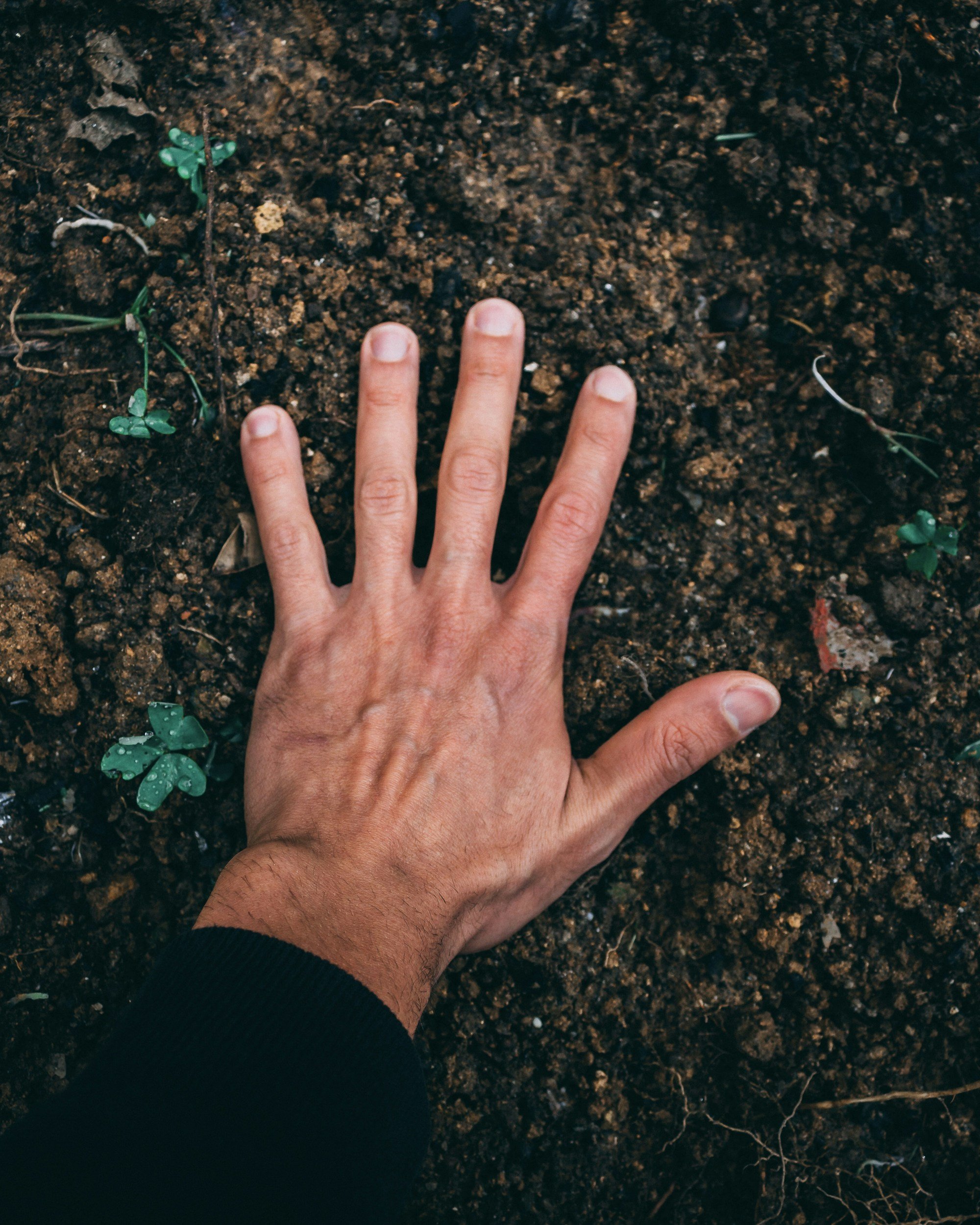 Our bodies are good for the soil.