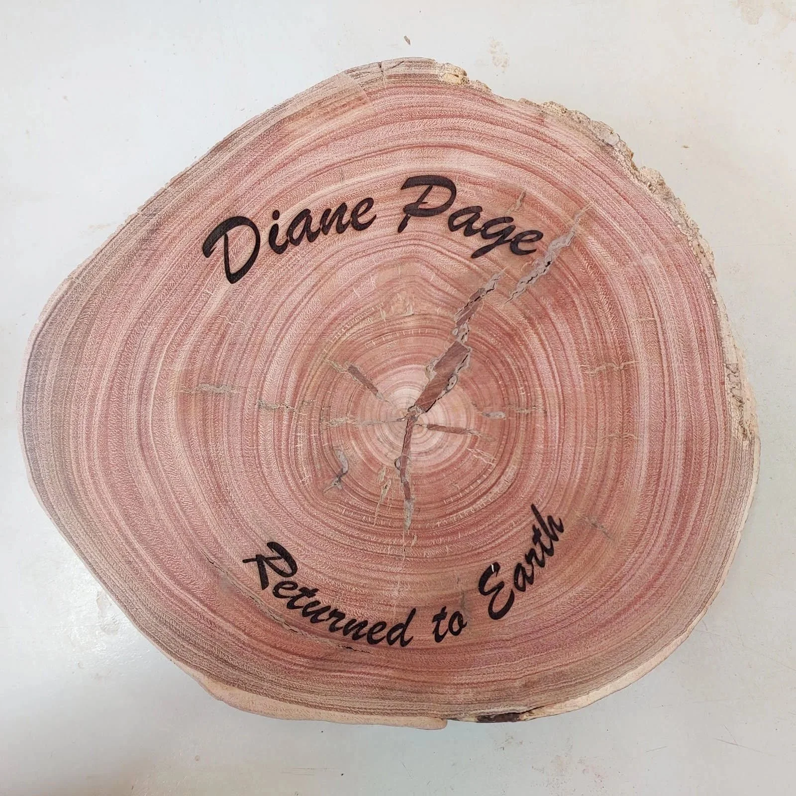Diane+Page+Plaque+copy.jpg