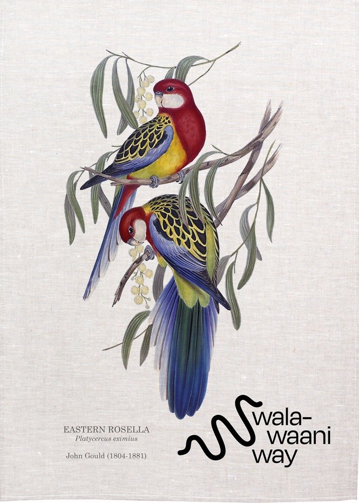 Rosella Image of T-Towel.jpg