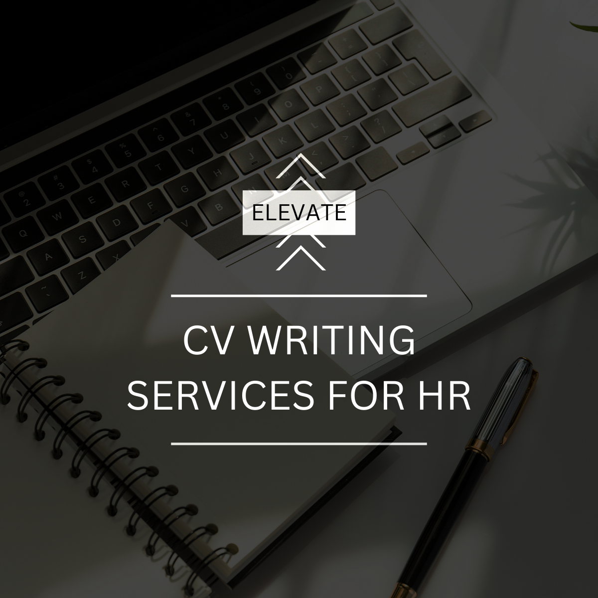 Model Cv Writing Service ELEVATE