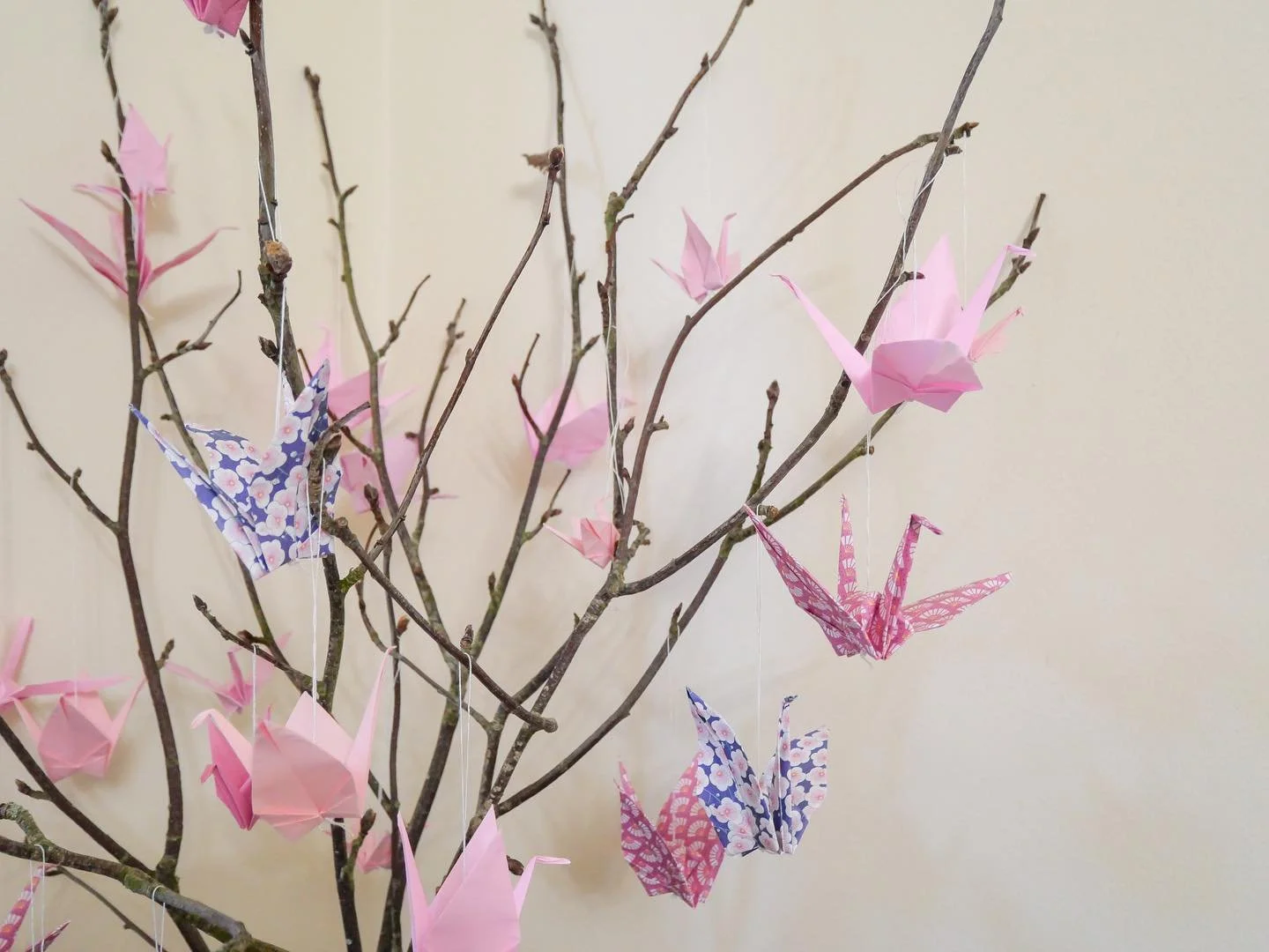 (Portugu&ecirc;s ⬇️⬇️ ) I will be teaching Origami tomorrow  from 11-12 at @peoplesmuseumlk ✨it&rsquo;s completely free and open to all ages ✨ we will learn how to read origami diagrams and make some simple traditional models ✨✨

Amanh&atilde; das 11