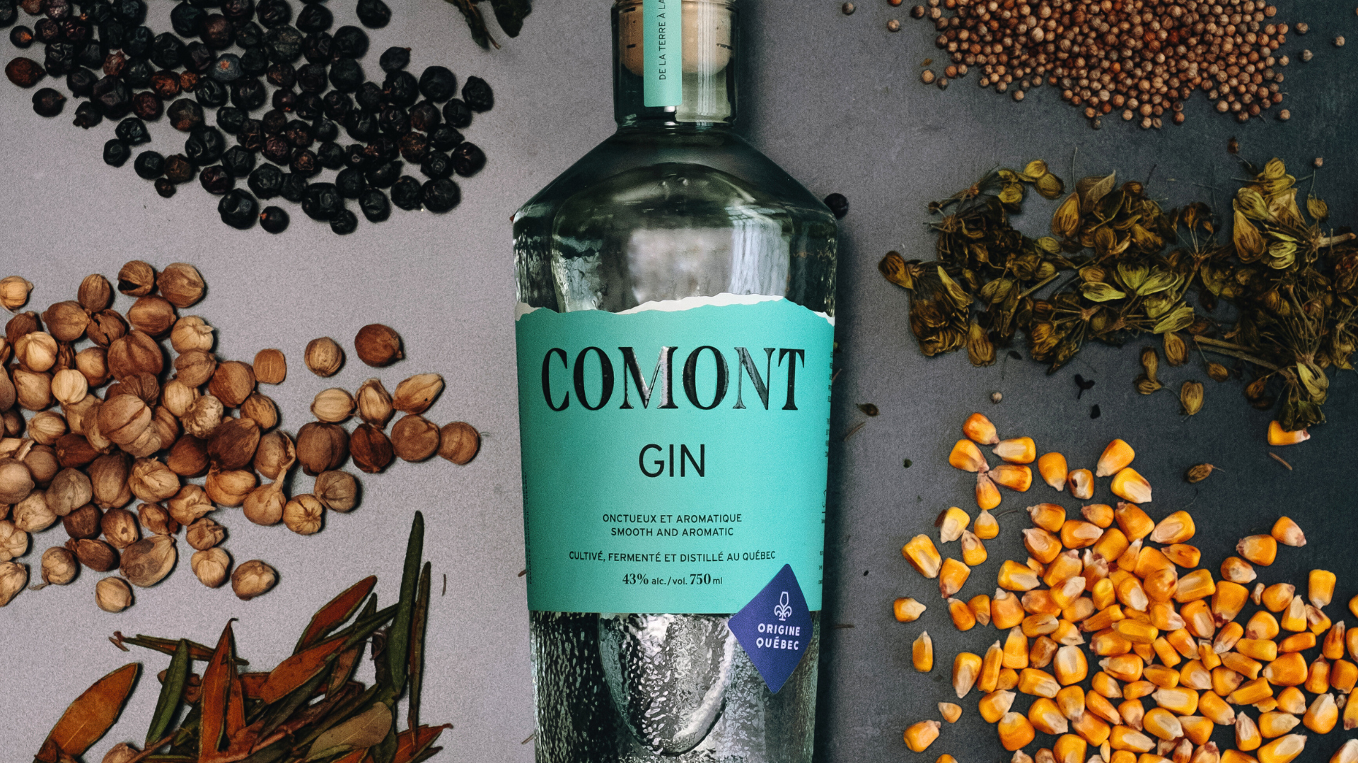 Démystifier les classifications à la SAQ : tout savoir sur les spiritueux Québécois