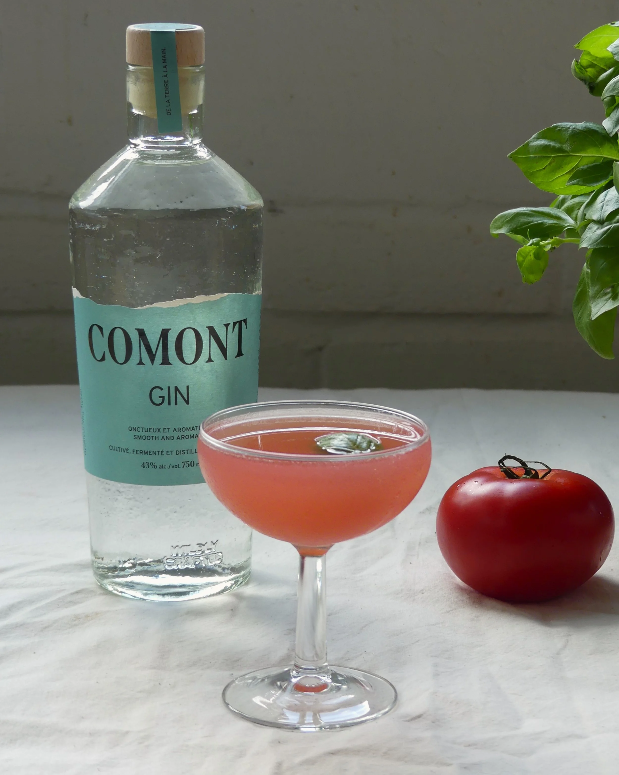 martini tomate gin  quebecois
