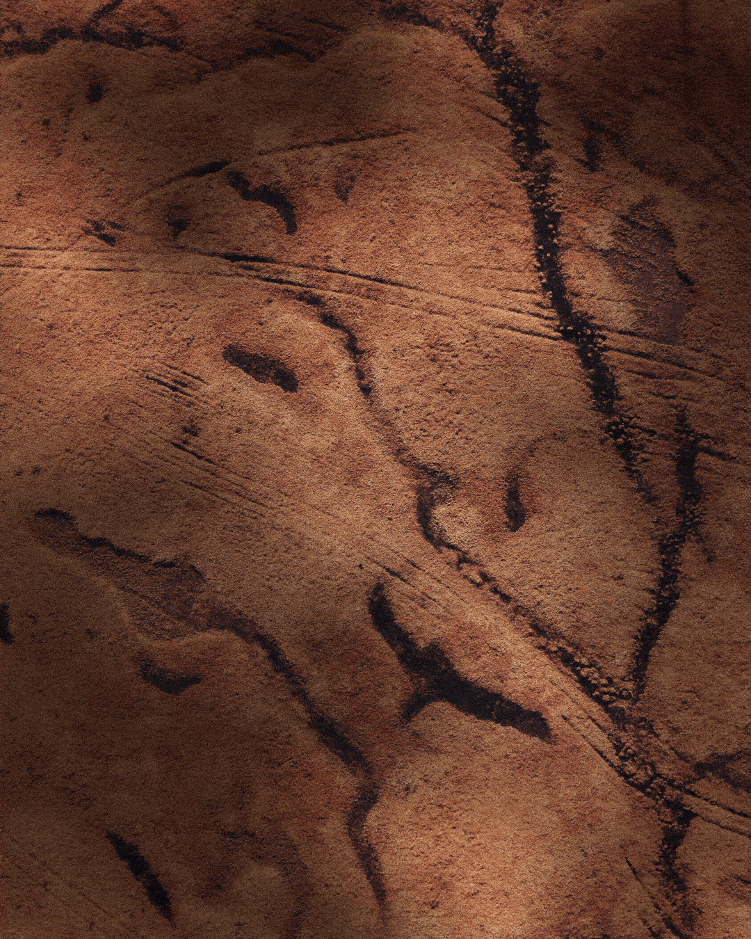 Close-up of rock surface with black weathering lines and patterns.