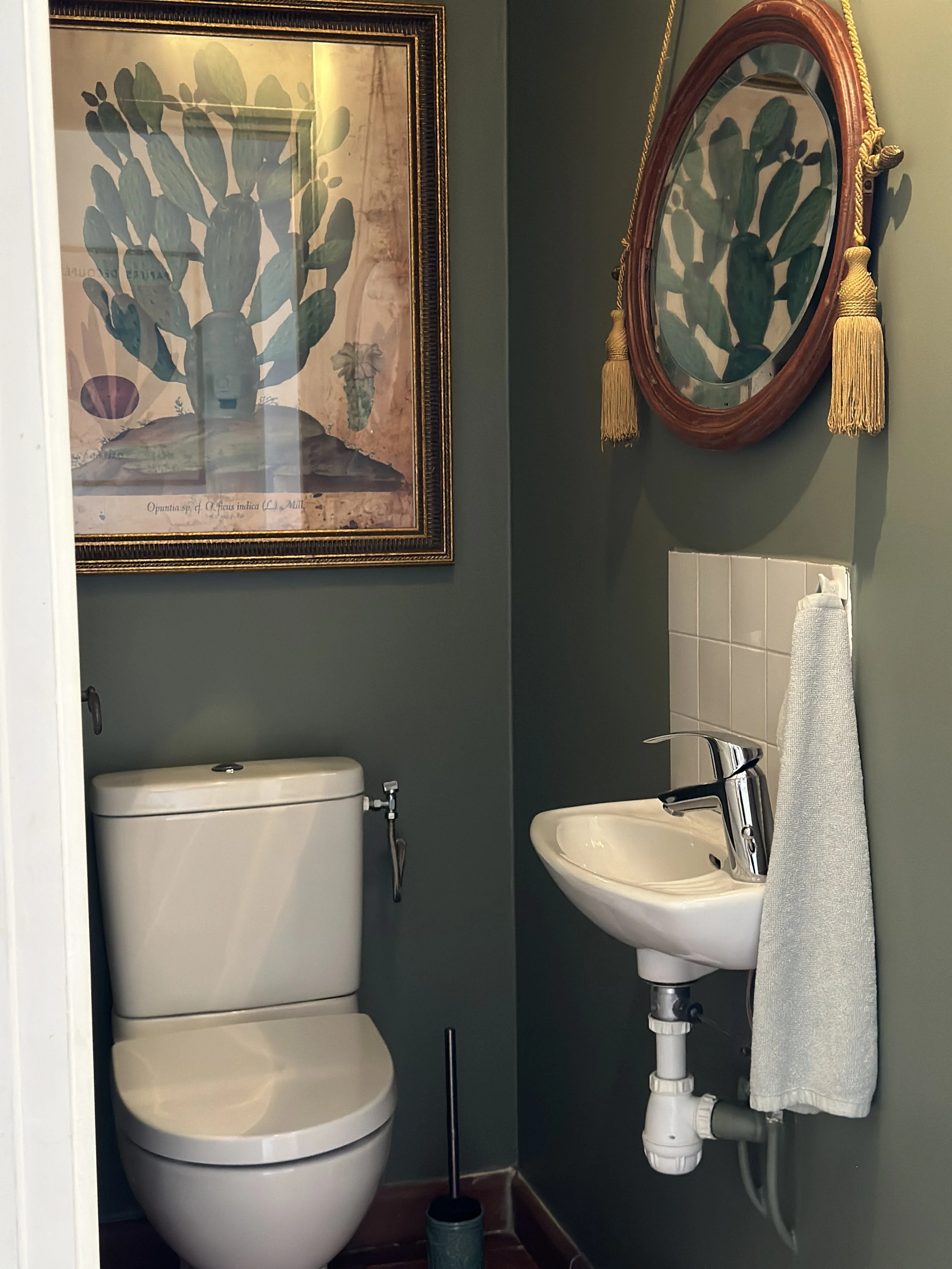 guest-wc-provence-lelagonvert.JPG