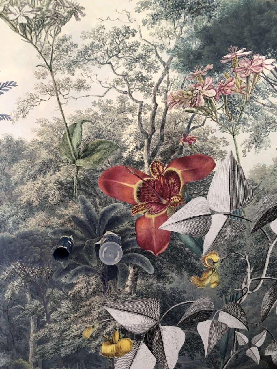 WC des invités : détail du papier peint floral au caractère affirmé