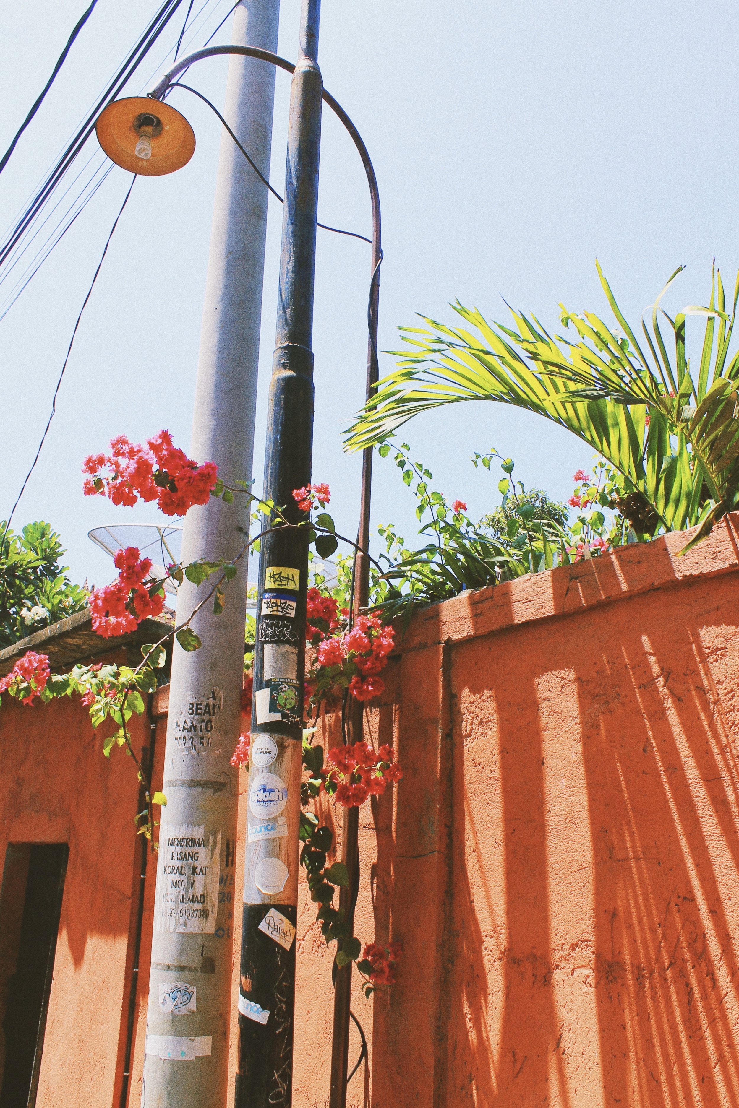 BALI. Street .jpg