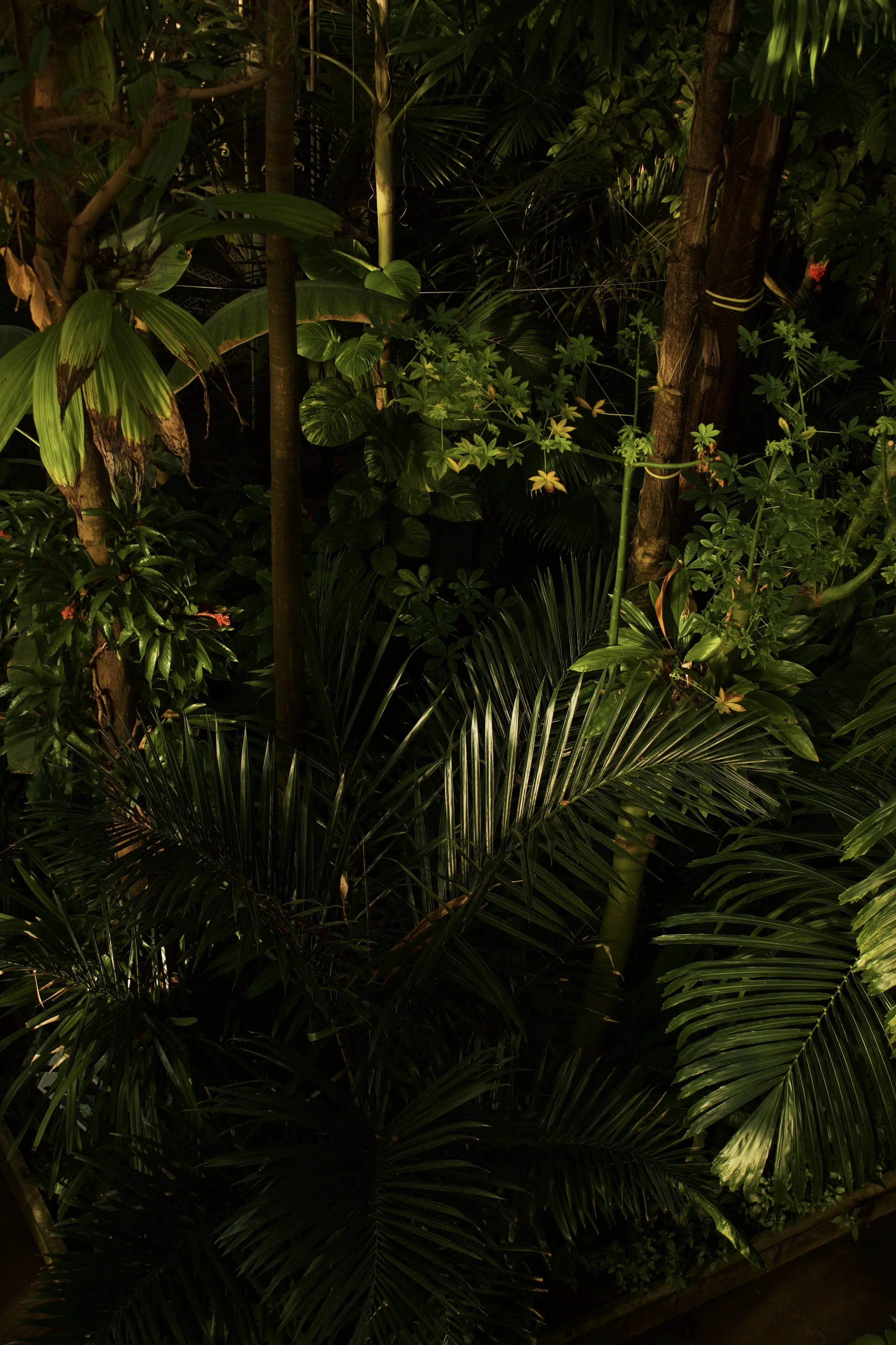 UK. Kew Gardens 3.jpg