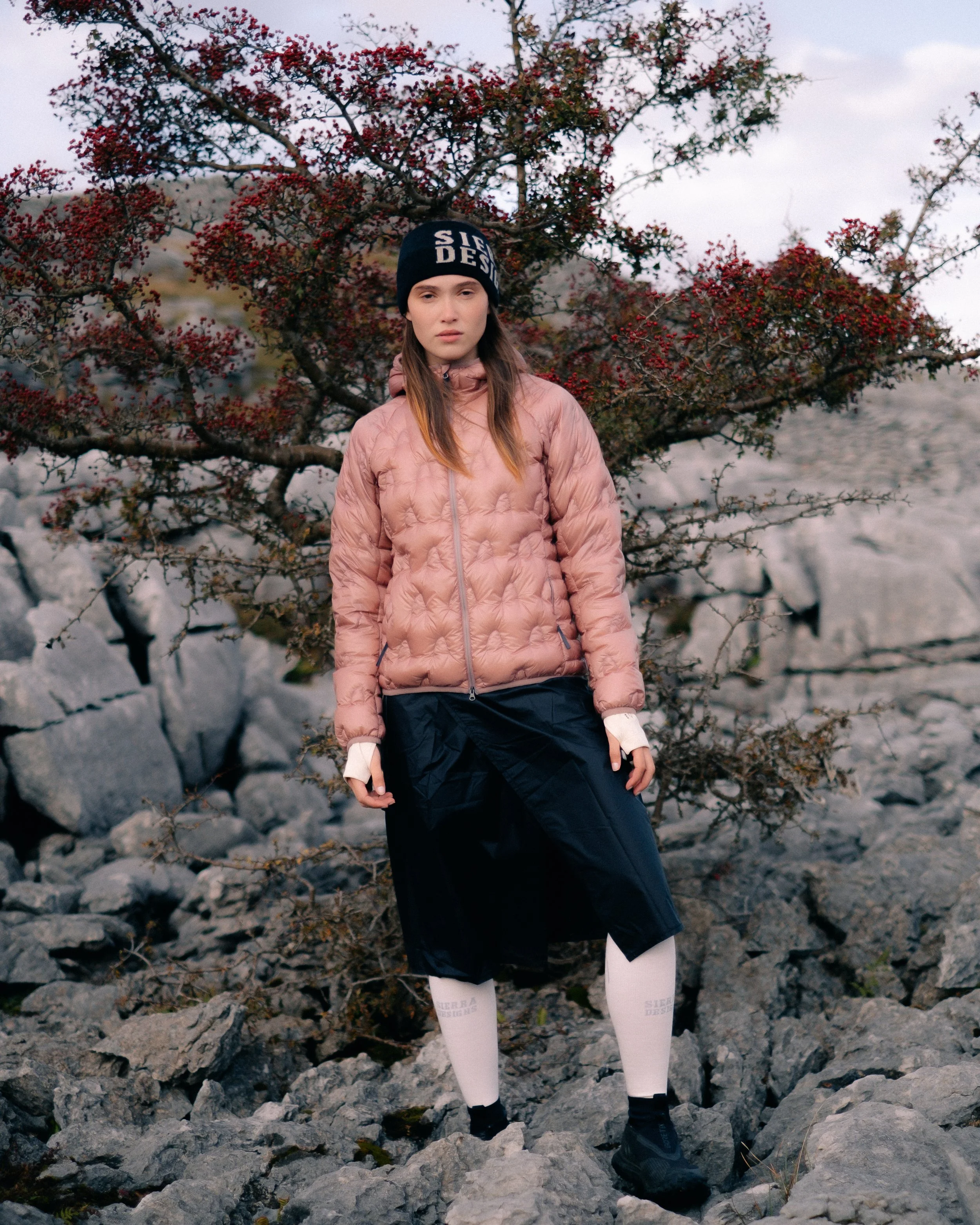 Sierra- HALF DOME - 4X5-27.jpg