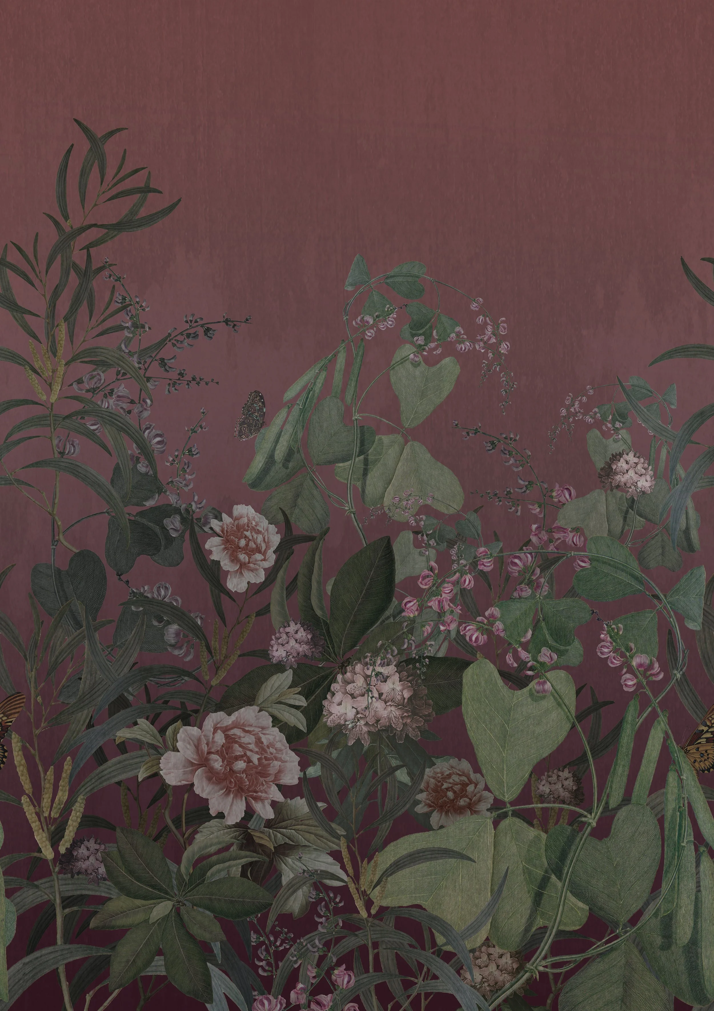 cinder merged 3 a.jpg