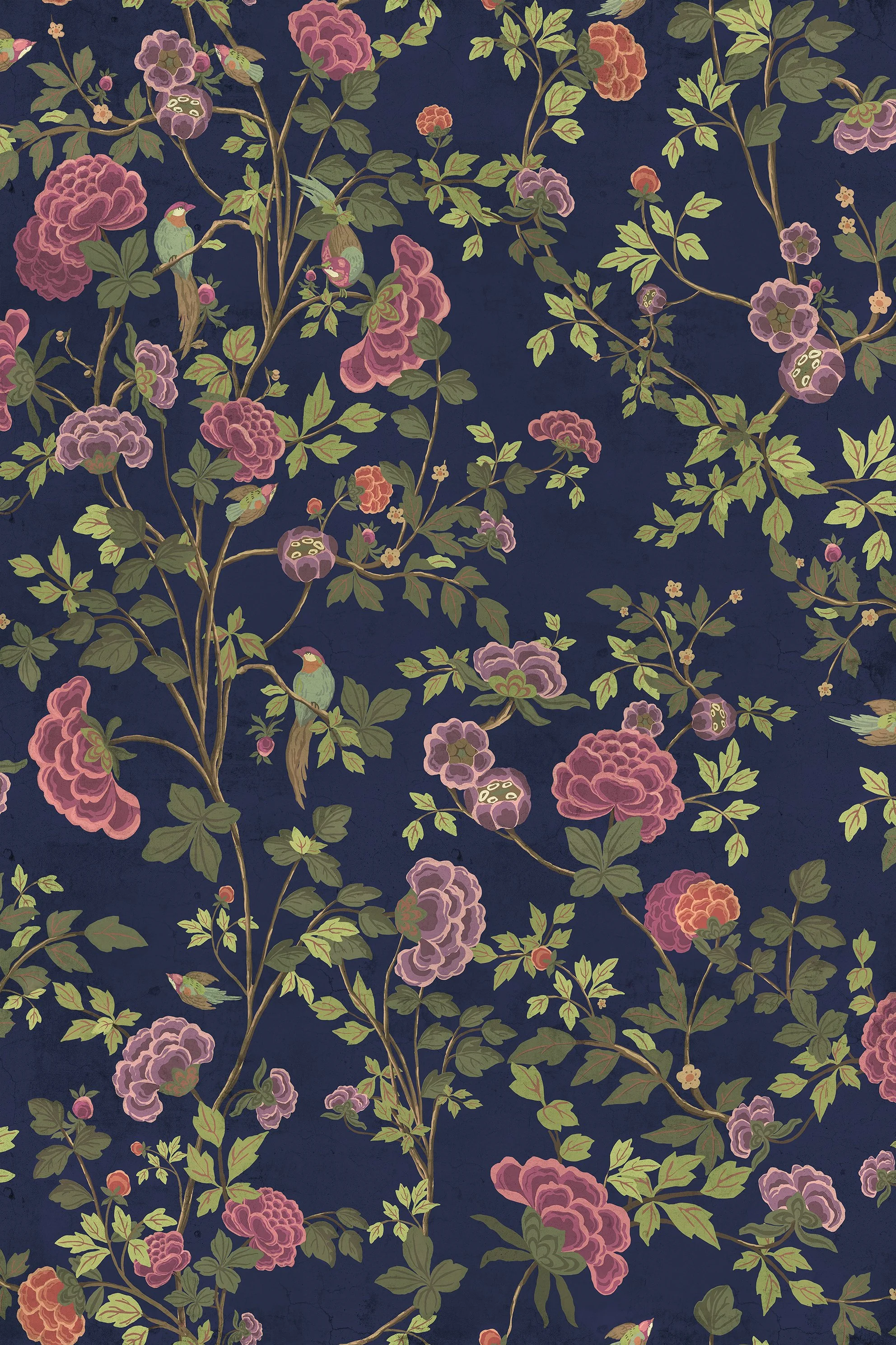 smallASTERISCO CLOUD 22 mq.jpg