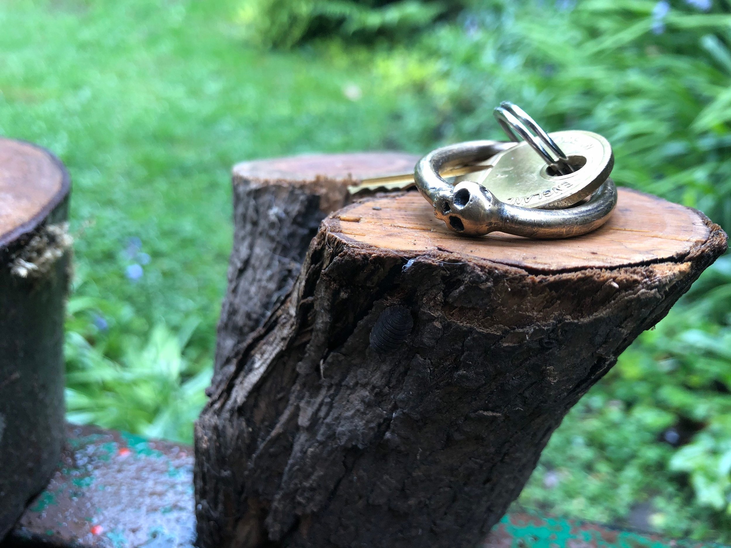 https://i.etsystatic.com/14121113/r/il/684ccc/3086464863/il_fullxfull.3086464863_j12n.jpg
