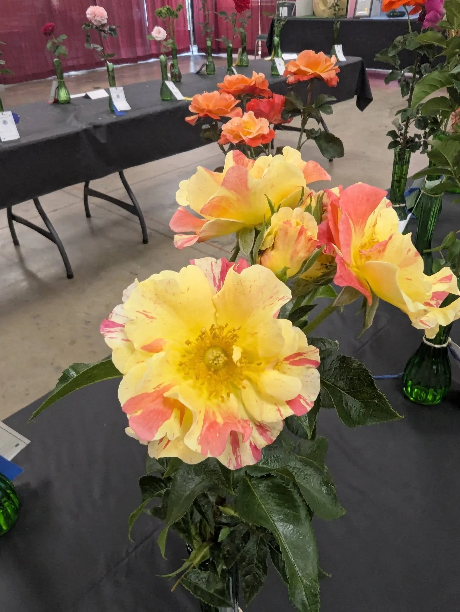 yellow and peach roses.jpg