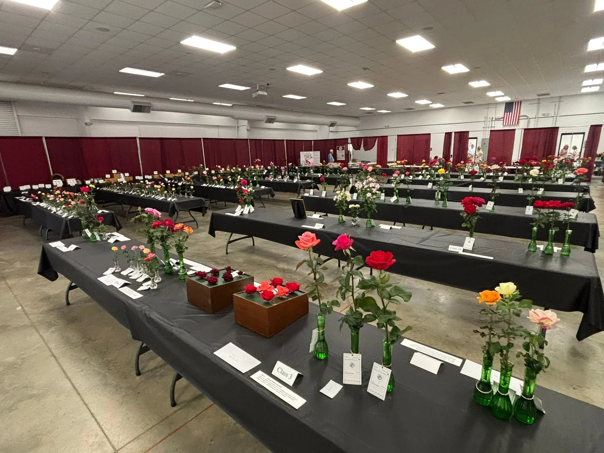The rose floor.jpg