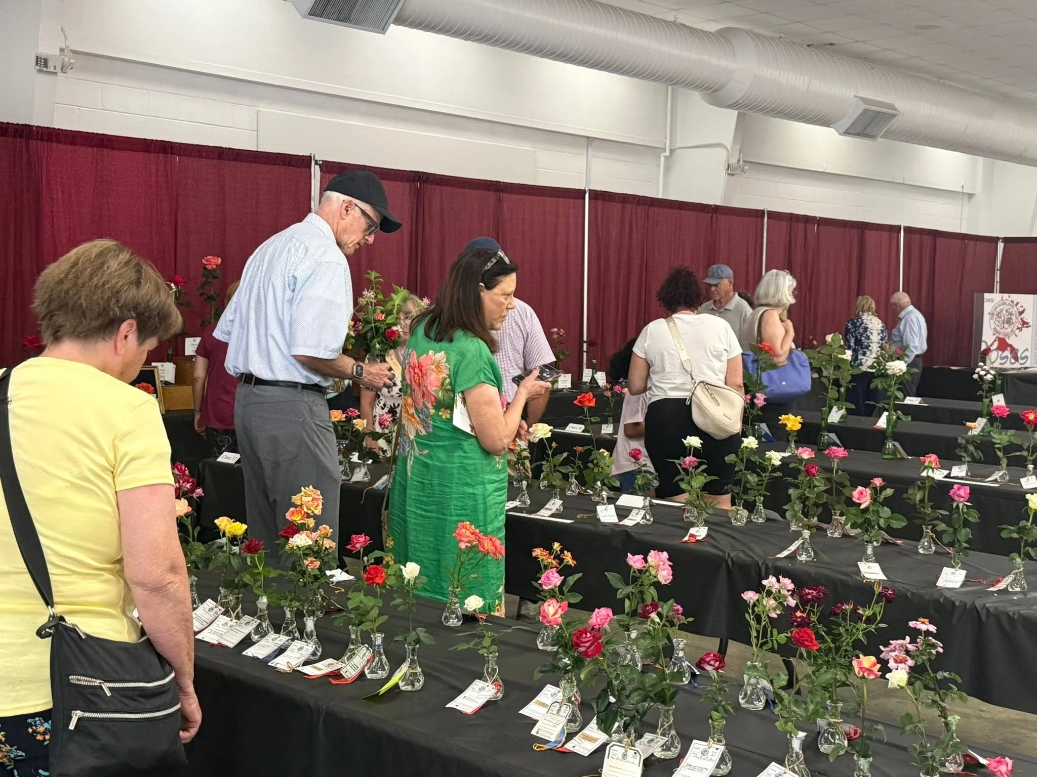 vistors viewing roses.jpg