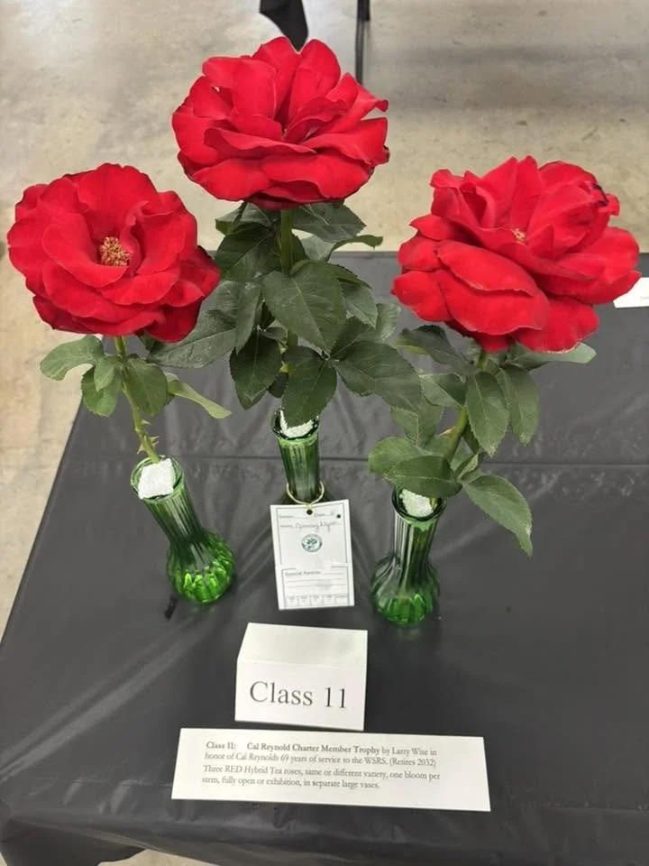 Cal Reynolds Roses.jpg
