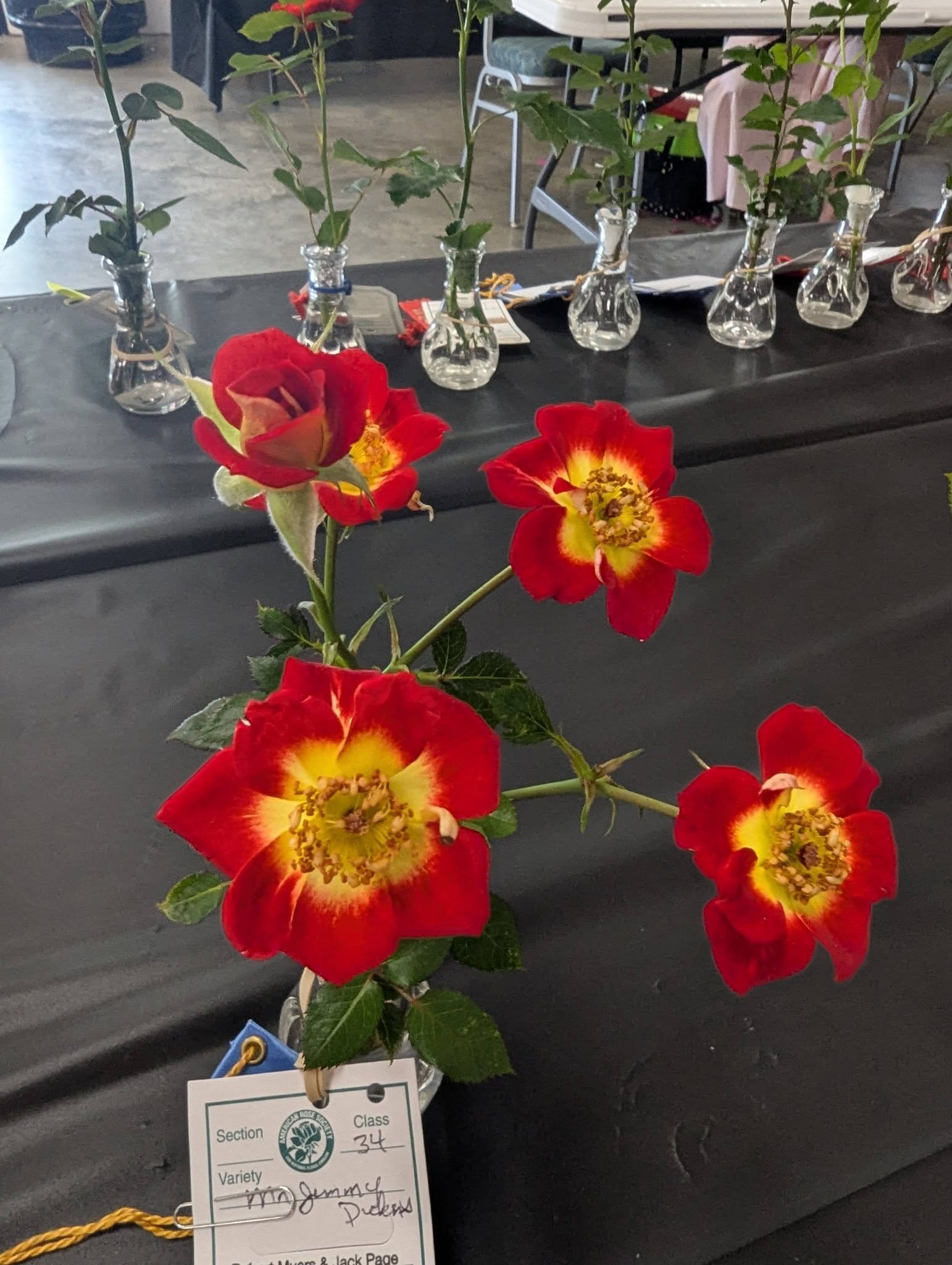 single rose spray.jpg