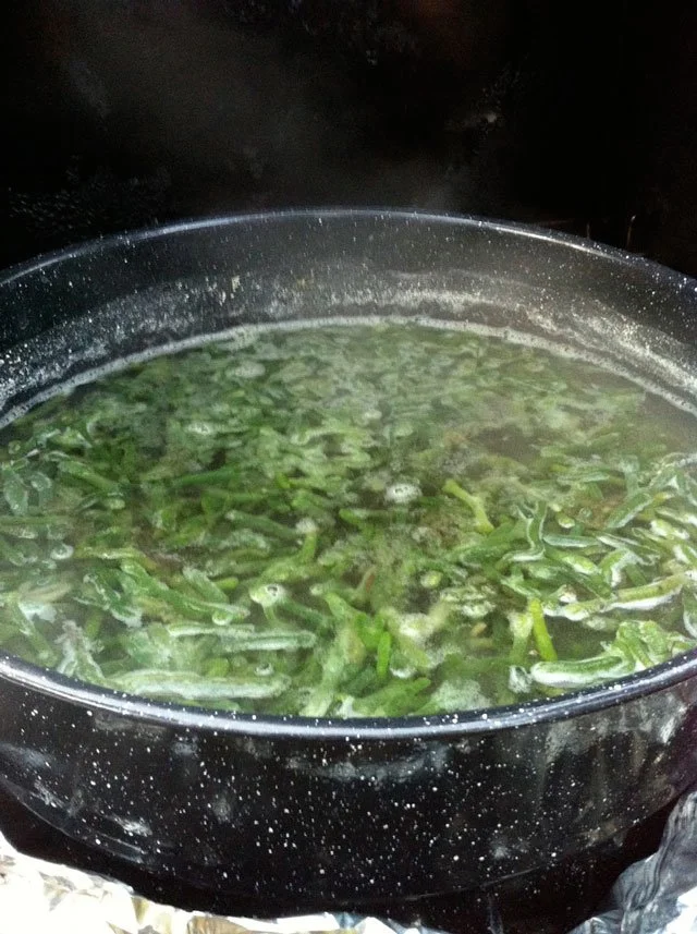 Making Paper from Seaweed: Papermaking with Atlantic BioInvader Codium ...