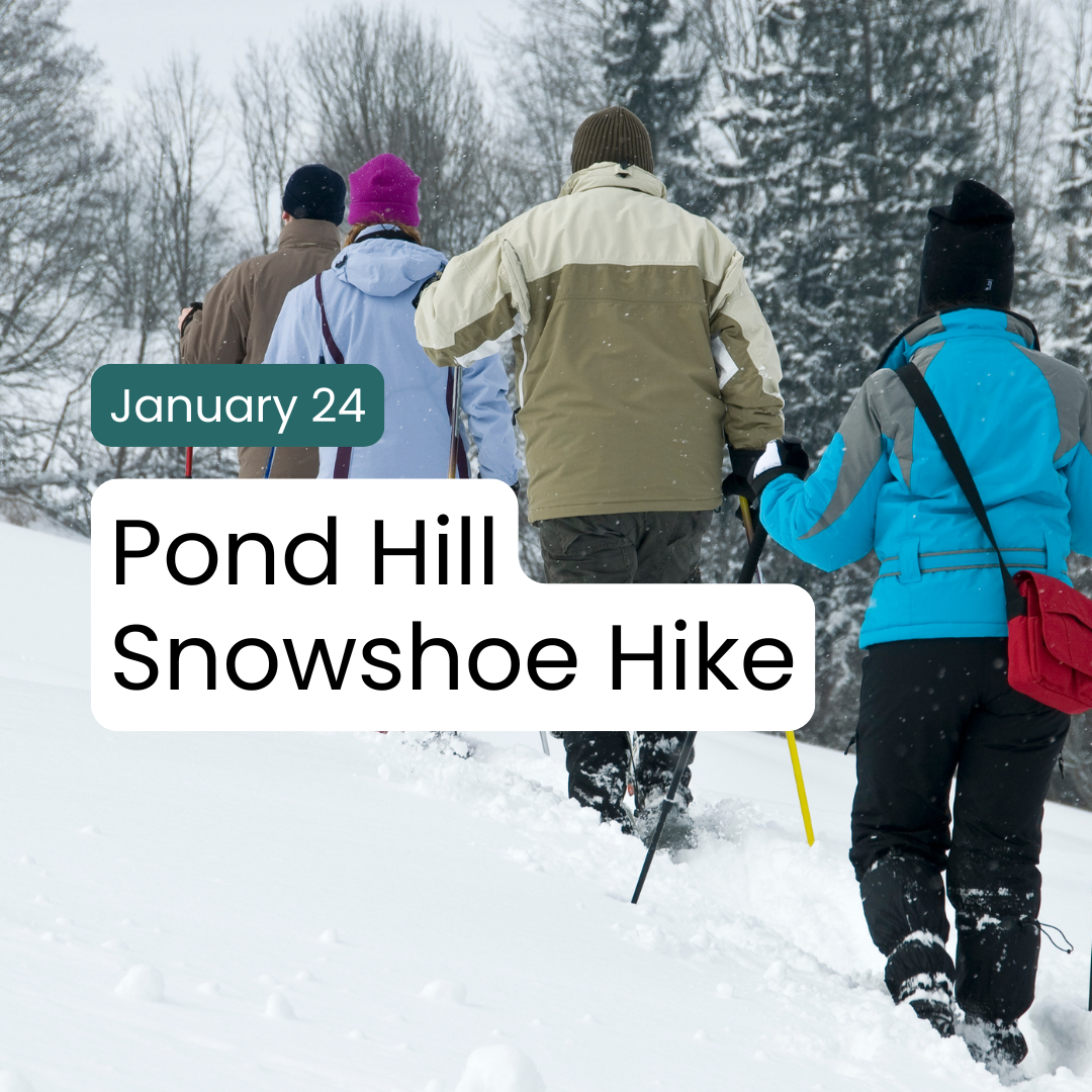 Guided Snowshoe Hike 