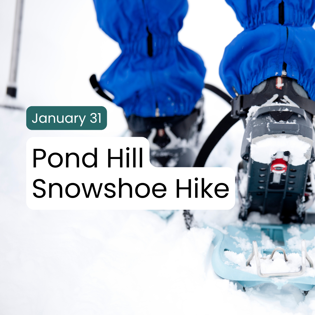 Guided Snowshoe Hike 