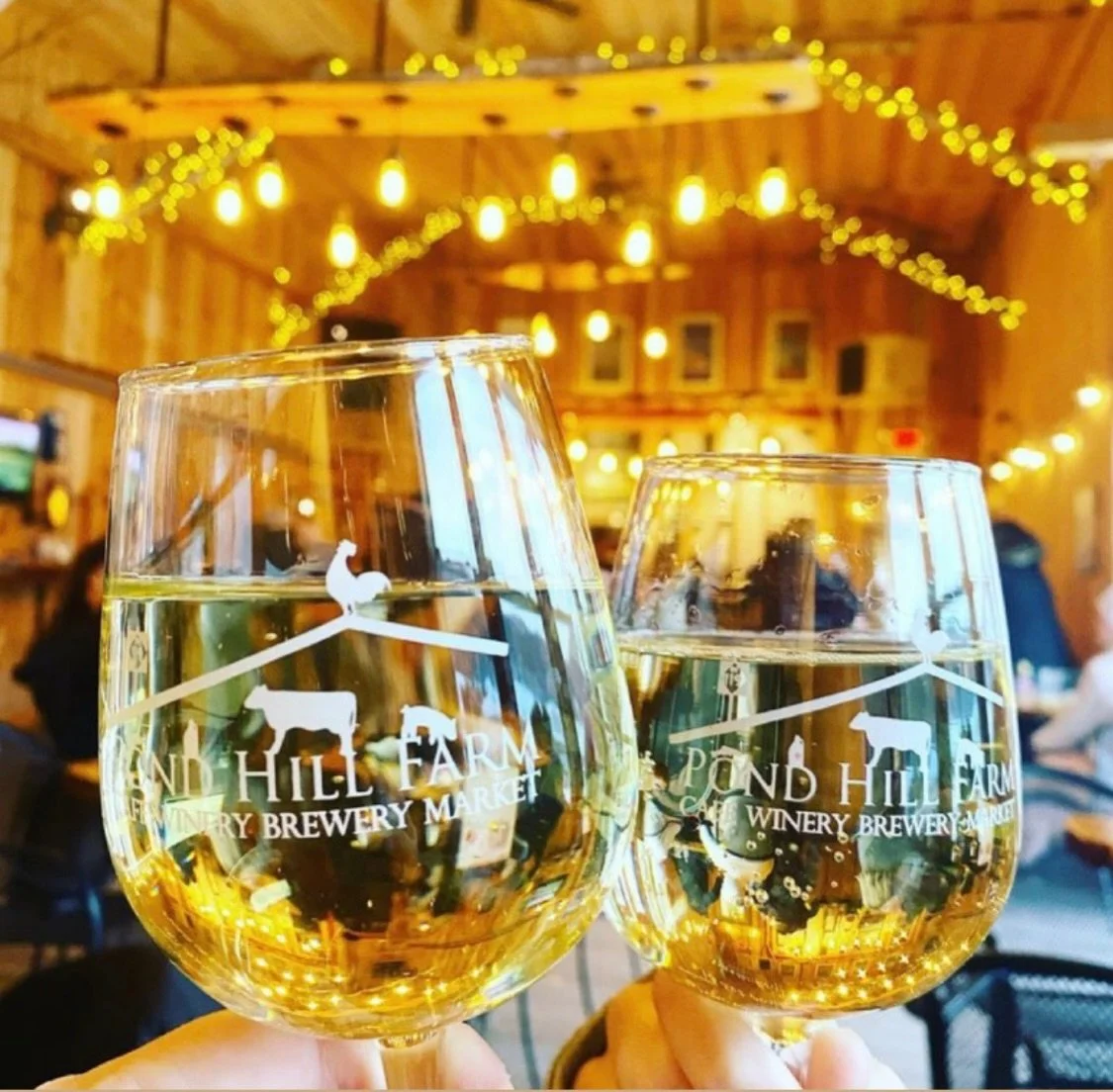 Last call to get your tickets for FRIDAY - Wine Tasting Party with Farmer Jimmy. Join us for a cozy winter evening at Pond Hill Farm as Farmer Jimmy leads a guided tasting through our signature wines! Sip, savor, and learn all about how we grow our g