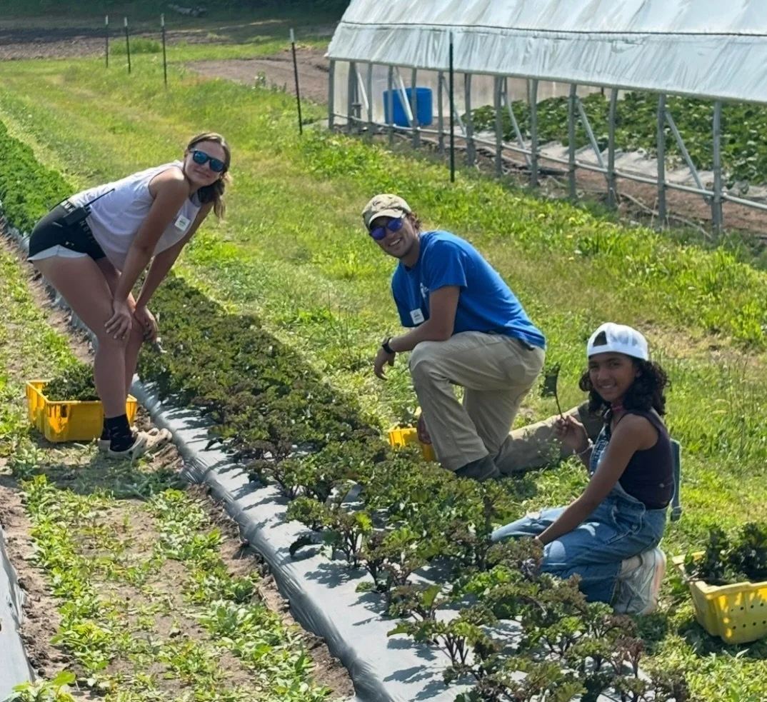 Now accepting applications for PAID Culinary &amp; Farm Internships! 

At Pond Hill Farm, internships are hands-on, meaningful, and truly special. Work alongside our amazing team, learn real-world culinary or farm skills, and be part of a close-knit 