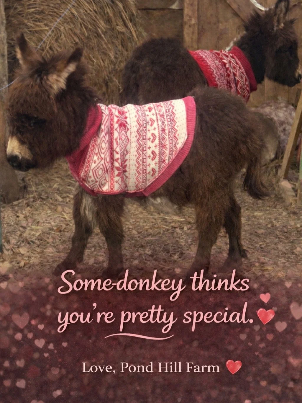 ❤️Valentine Weekend on the farm is here!
Send one of these to someone you love and let them know you&rsquo;re dreaming of a cozy trip to Pond Hill. 💌

This Valentine Weekend is full of delicious food, live music, and all the winter fun you love. Fro