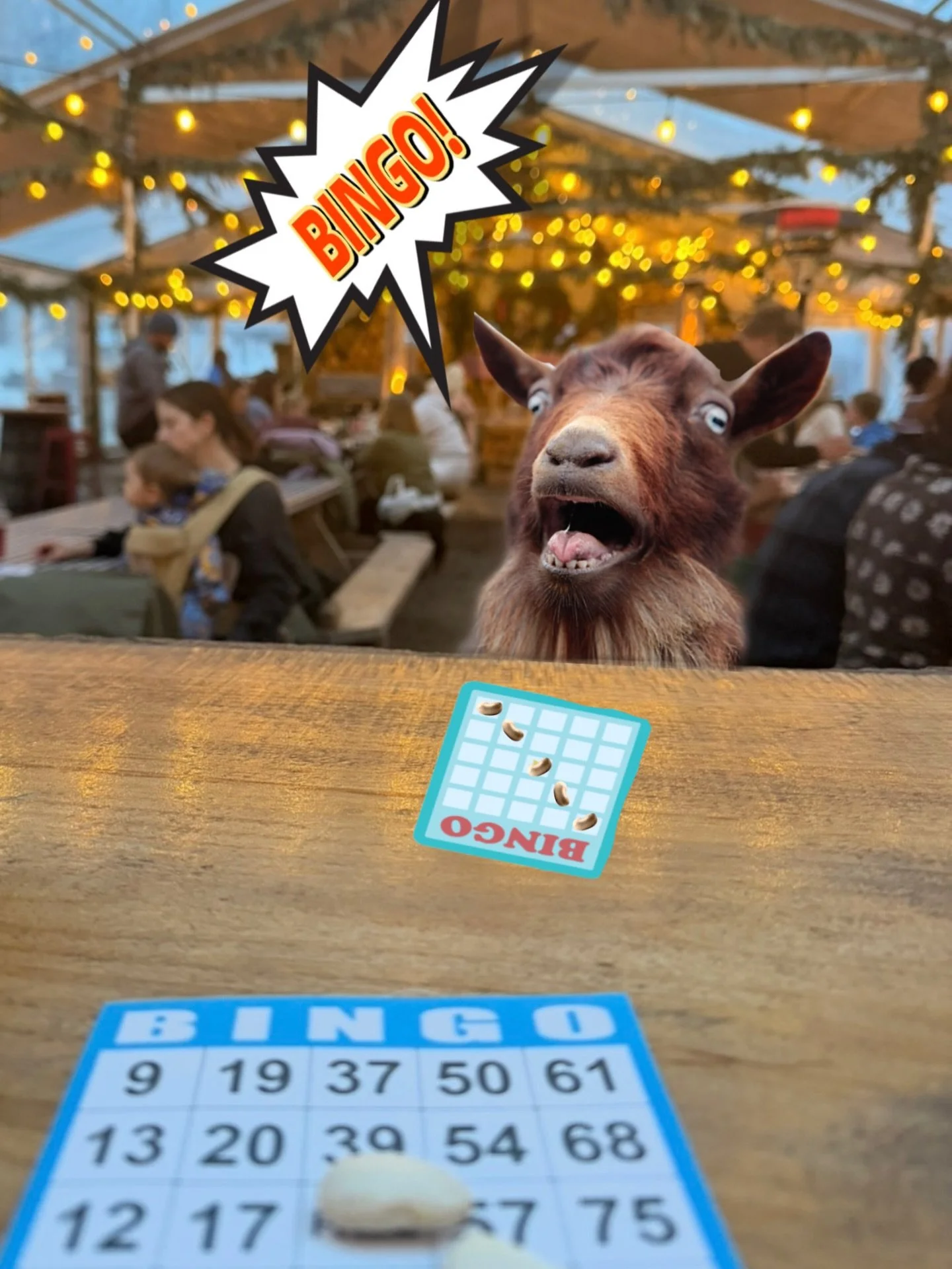 Bingo on the Farm this Friday from 6&ndash;8pm!

Why is it so much fun? Because it&rsquo;s perfect for kids and adults alike! Jump in and play whenever you arrive&mdash;no pressure, just good times.

Enjoy fun music by DJ Emma while the hostess with 