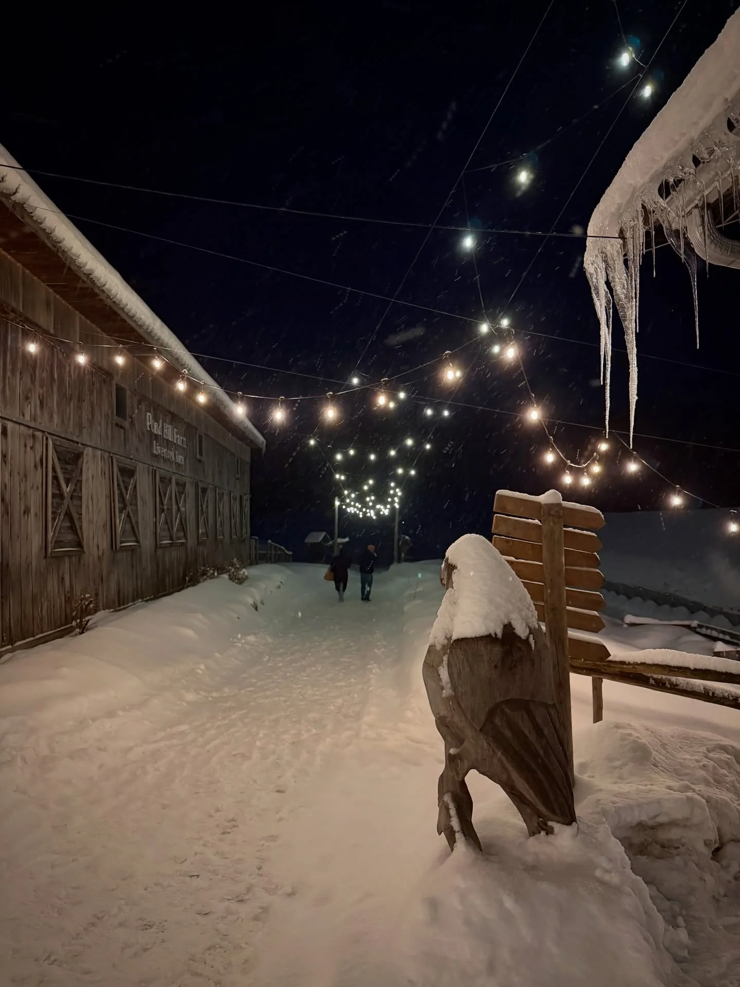 Slow down and spend the day on the farm. Come hungry, leave happy and full of family memories.

Start your morning with our made-from-scratch brunch served from 9am&ndash;1pm. Stick around for homemade pizza and delicious sandwiches from 12pm&ndash;8