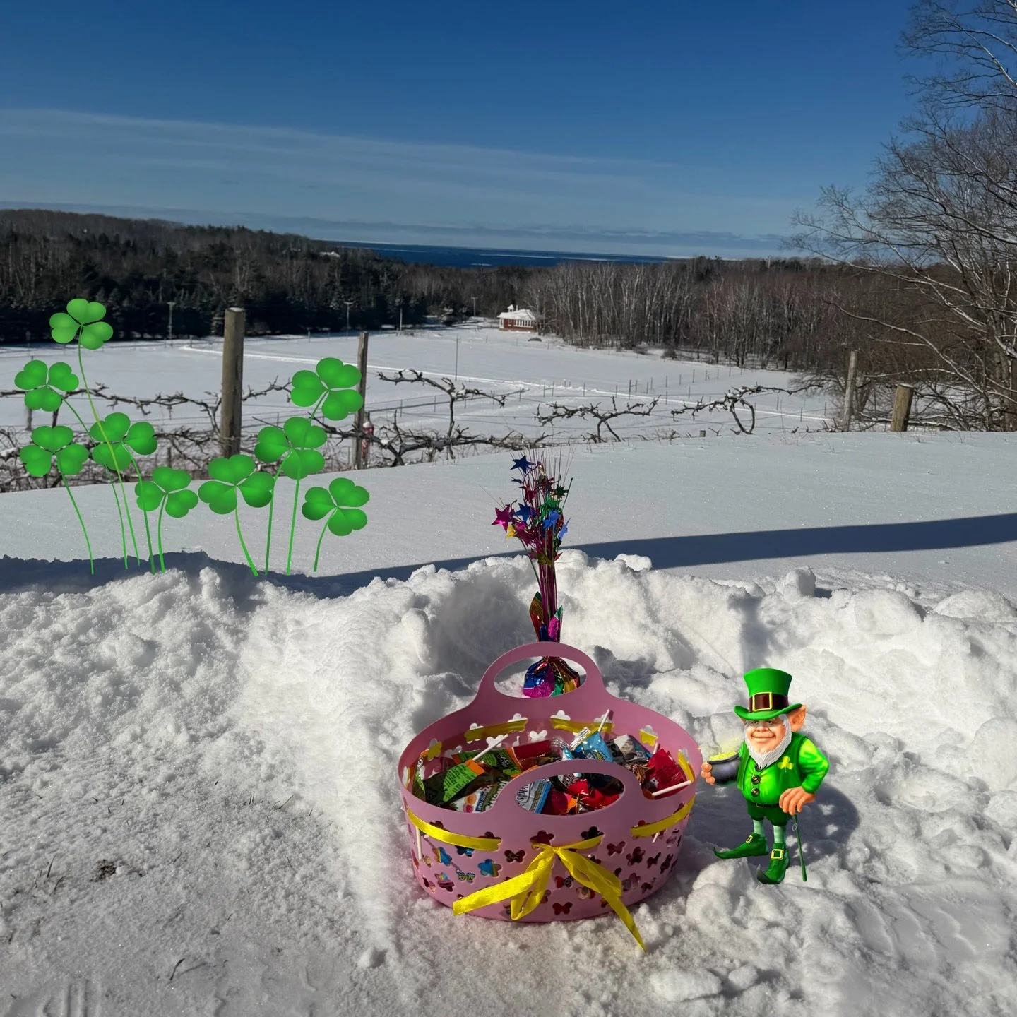Leprechaun Hunt today 12-4pm!

Grab your boots and enjoy a hike around the farm on this beautiful sunny day while collecting sweet treats along the way. The tricky leprechauns have taken over the gnome houses and filled them with candy &mdash; and th