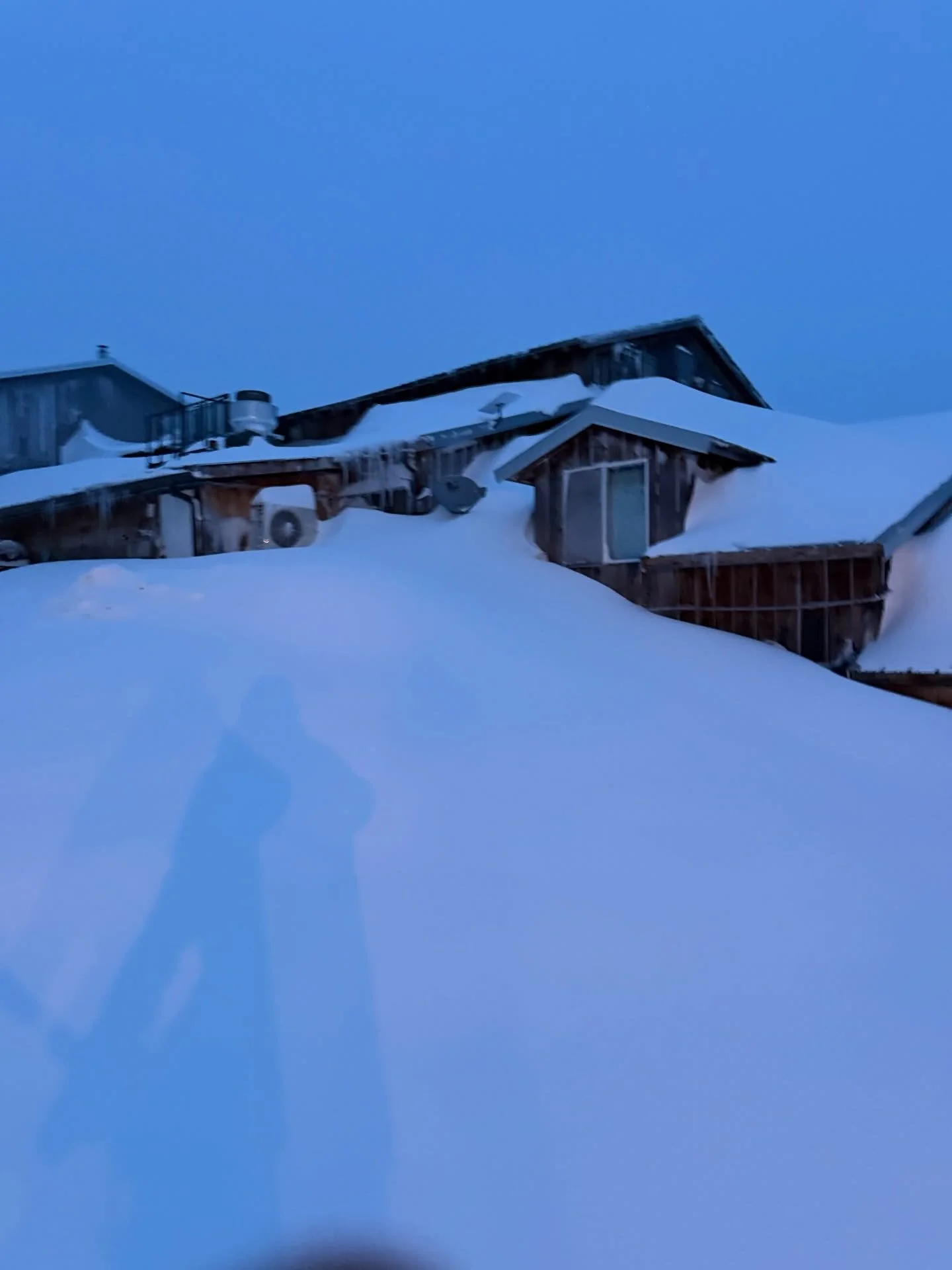 First look at the snow this morning here at Pond Hill Farm in Harbor Springs, MI. The snow just keeps coming! Stay home if you can &amp; stay safe.❤️ 

@harborspringschamberofcommerce @petoskeyarea @petoskeychamber @puremichigan @weatherchannel