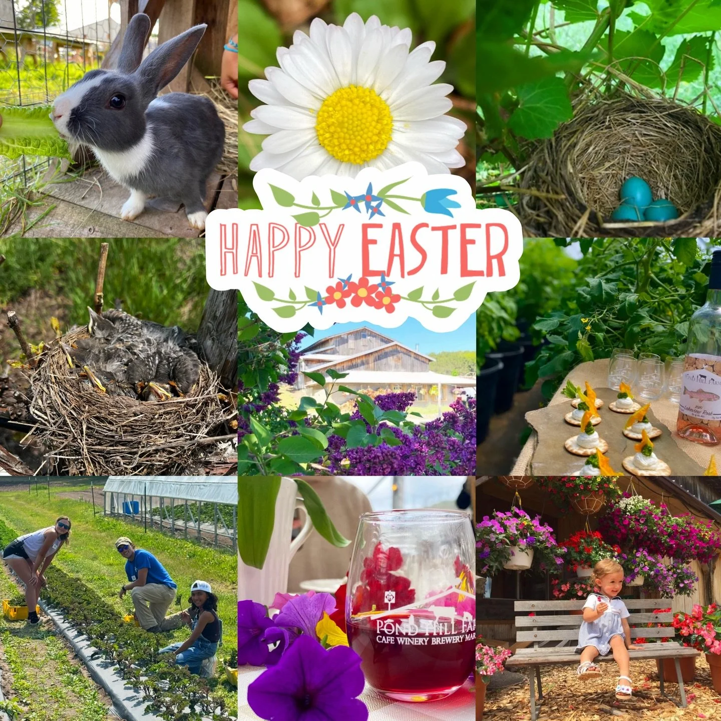 Happy Easter from our Farmily! 🌸🐣