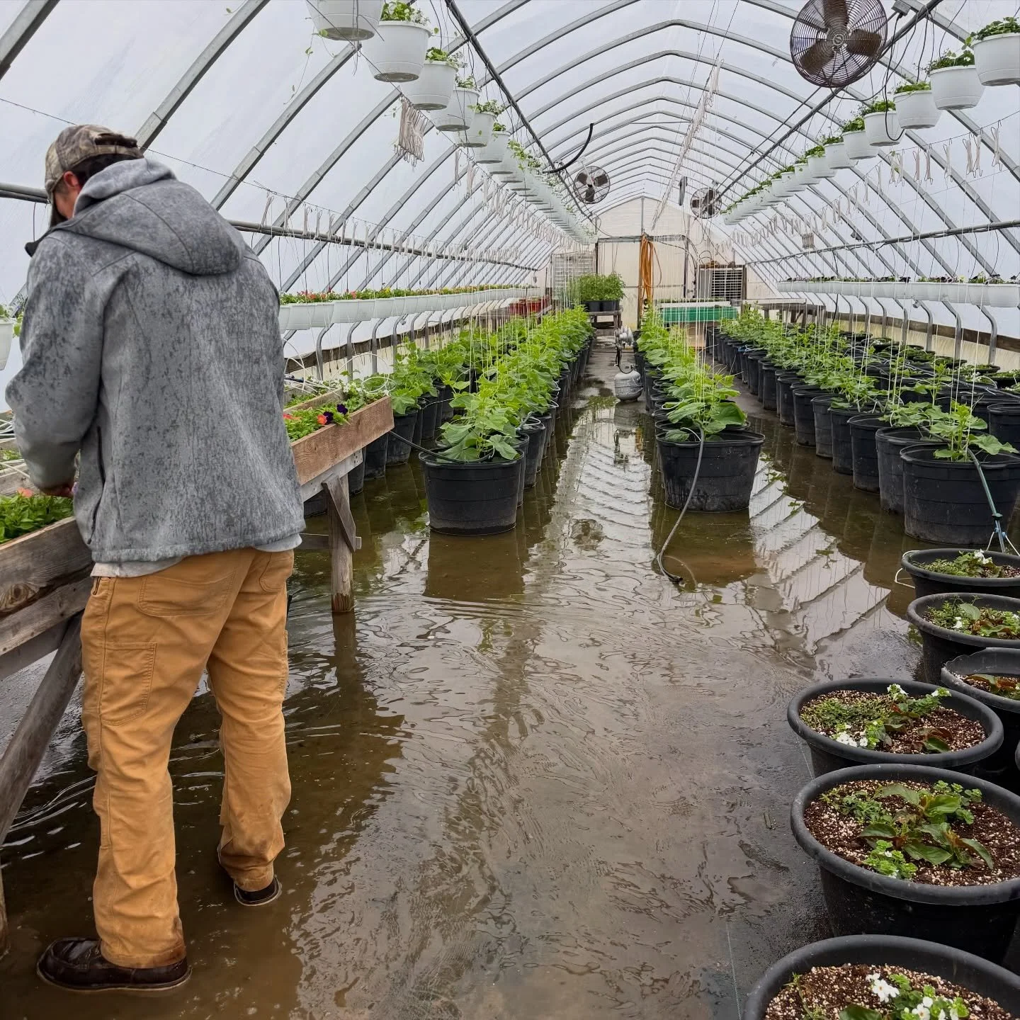 Spring is here&mdash;rain, warmth, birds chirping&hellip; and right behind it? Overflowing flower baskets, juicy heirloom tomatoes, and crisp cucumbers. Learn more &amp; taste the goodness at our Greenhouse Tasting Tours on May 23rd, June 6th &amp; J