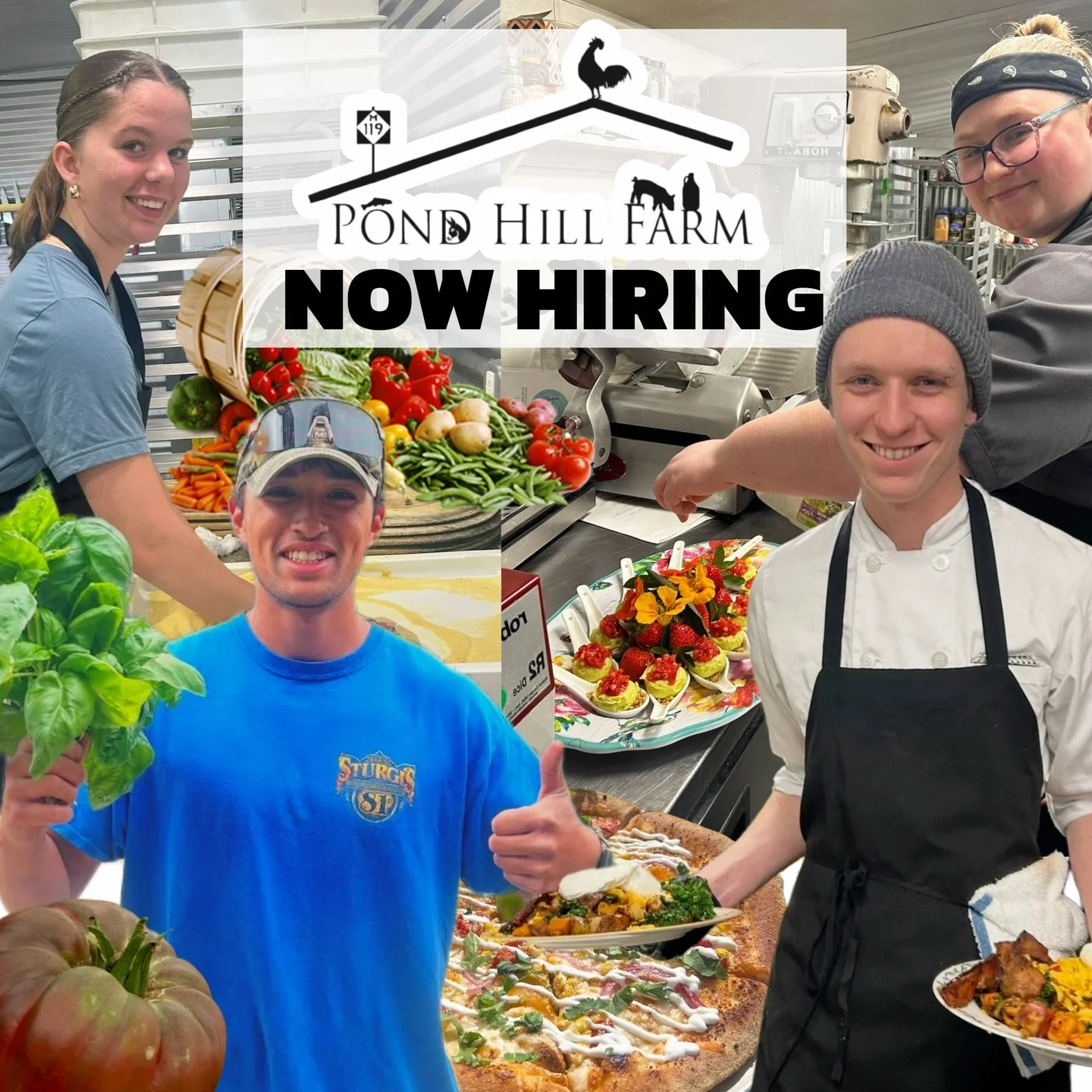 Ready to love where you work? 

At Pond Hill Farm, you&rsquo;re not just an employee&mdash;you&rsquo;re part of the farmily. Spend your days in a fun, upbeat environment, working with fresh ingredients harvested right from our fields and surrounded b