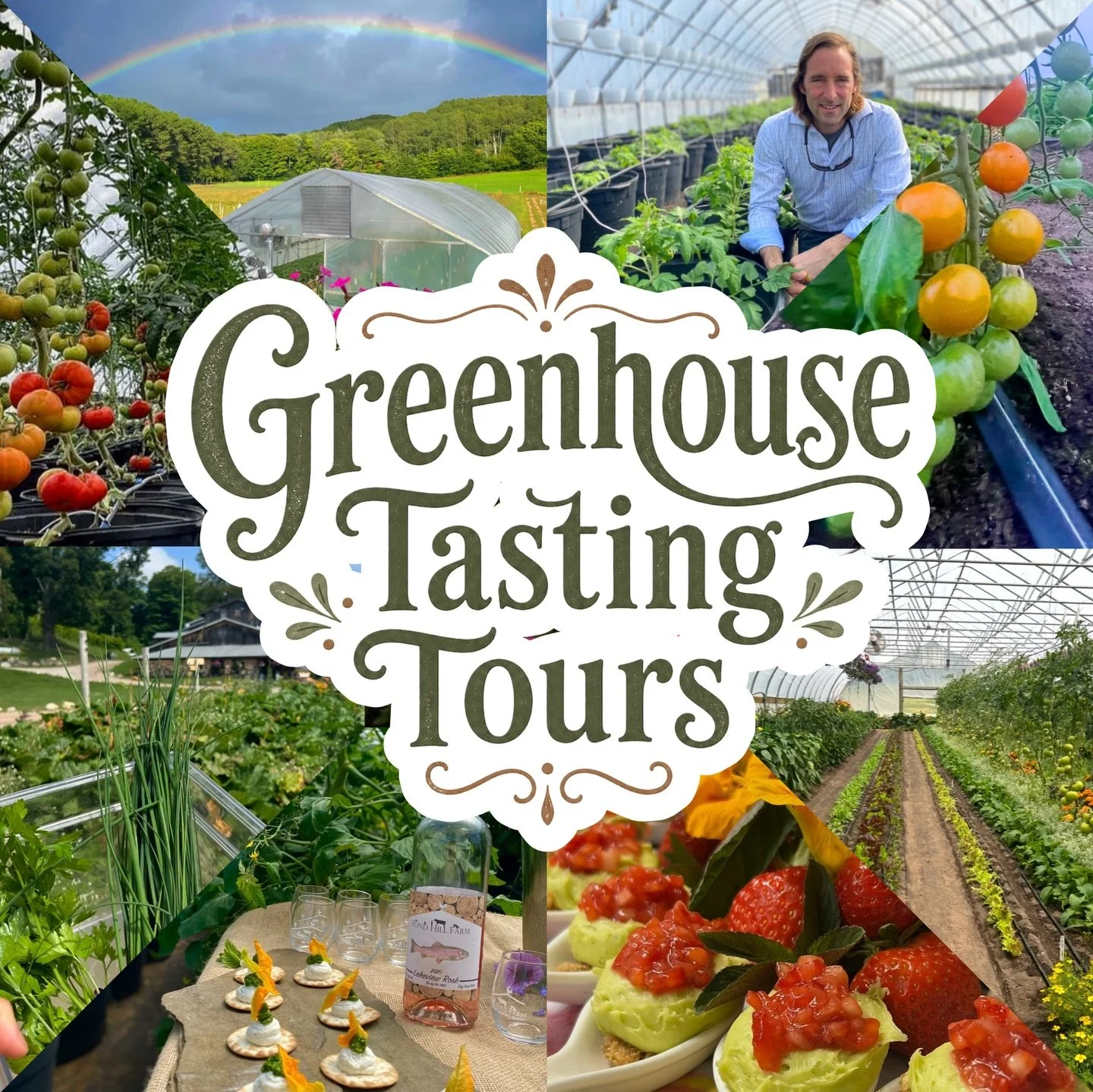 What&rsquo;s growing on at Pond Hill? Come taste &amp; learn on the farm! Tickets are available for our Greenhouse Tasting Tours May 23rd, June 6th or June 20th at 11:00am.  Enjoy a guided tour through our working greenhouses! Learn about life on the