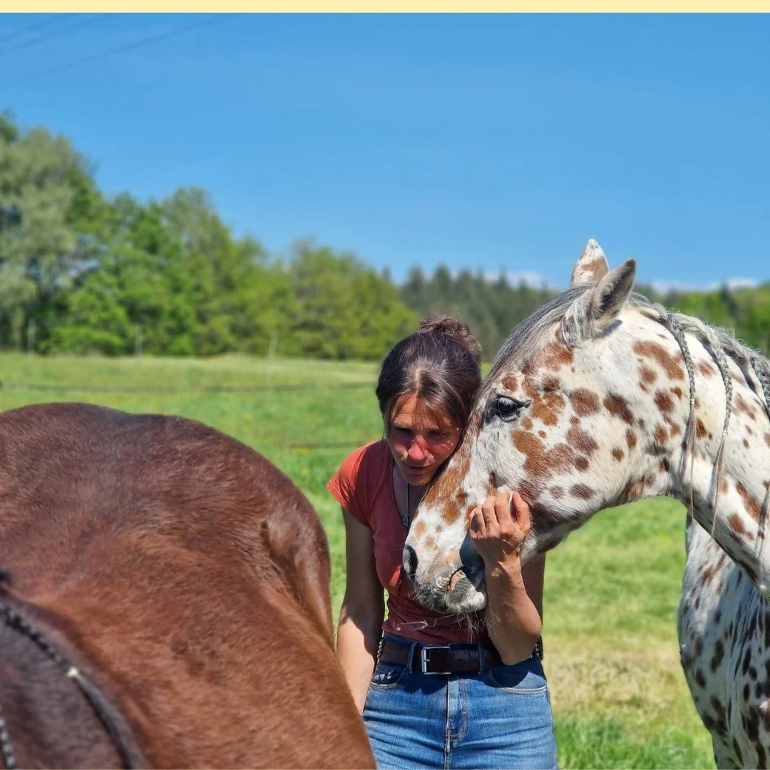 Et si votre relation avec votre cheval devenait plus fluide et plus consciente ? 🐴✨

Dans la relation cavalier/cheval, il n&rsquo;est pas seulement question de savoir-faire, mais aussi de savoir-&ecirc;tre.
Mon exp&eacute;rience dans le travail au s
