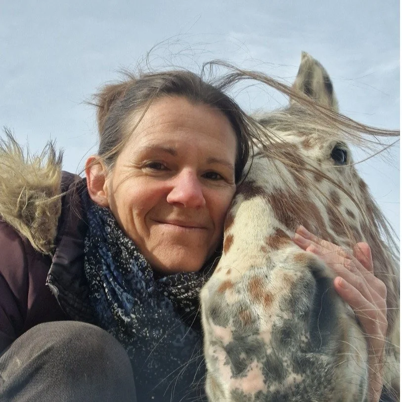 🌳🐴 L&rsquo;aversion &agrave; l&rsquo;abandon du superflu : pourquoi c&rsquo;est si difficile de l&acirc;cher&hellip; et comment ouvrir un nouvel espace 
🧠 D&rsquo;o&ugrave; &ccedil;a vient 
Nos habitudes et comportements sont souvent ancr&eacute;s