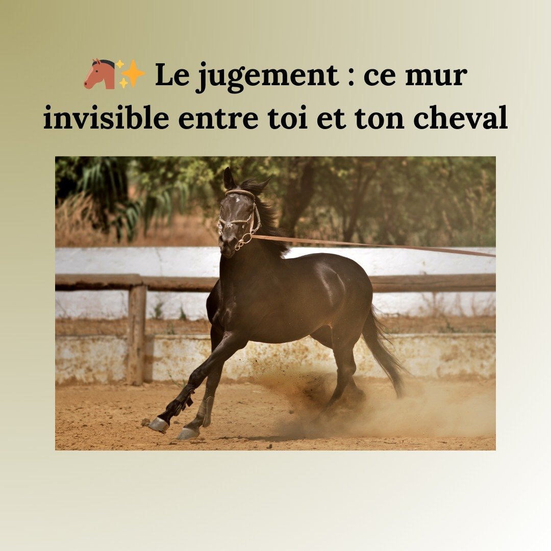 🐴✨ Le jugement : ce mur invisible entre toi et ton cheval
On parle souvent du jugement que les autres cavaliers portent sur nous.
Mais il existe un jugement encore plus puissant.
Celui qu&rsquo;on porte&hellip; sur son propre cheval.
Et surtout, cel