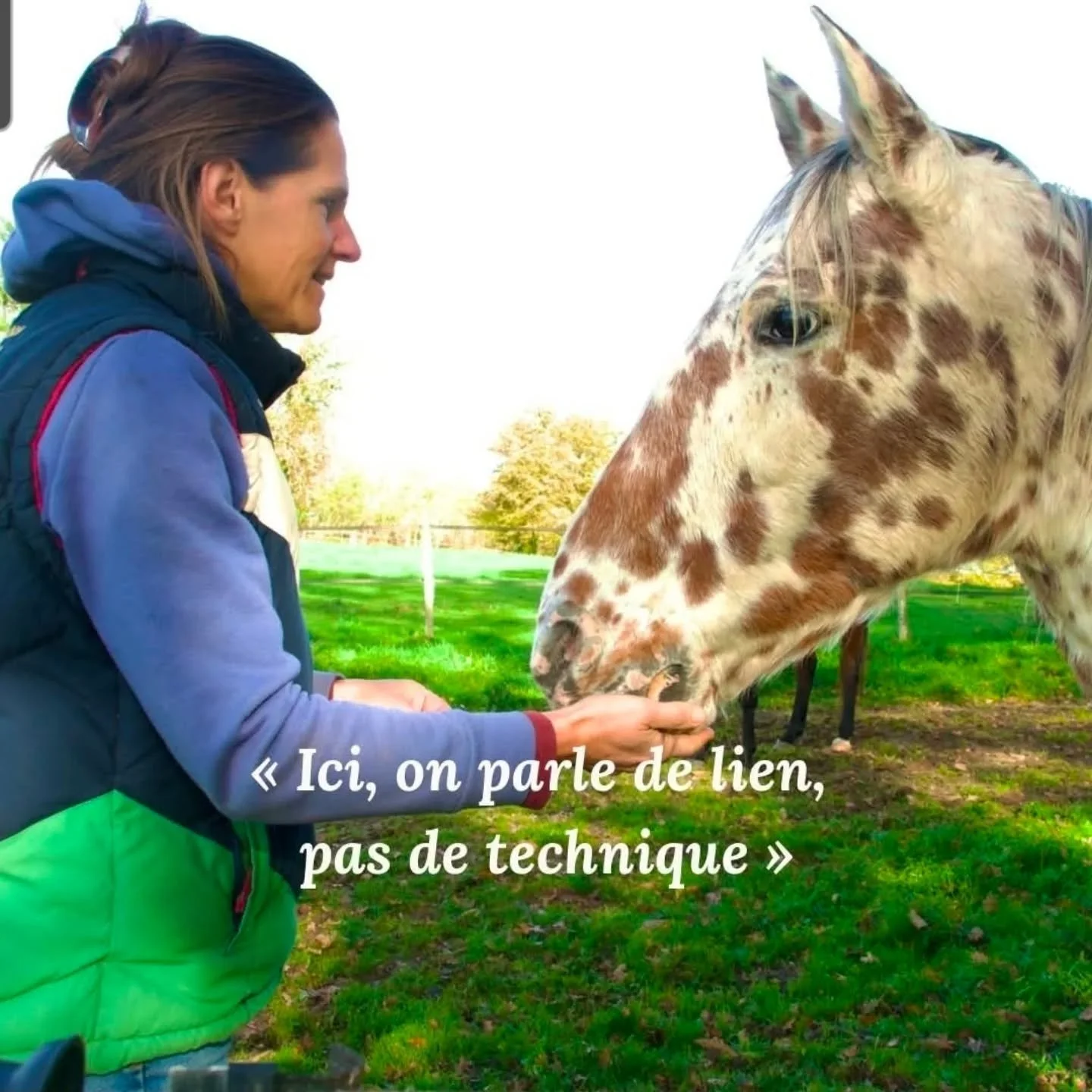 ✨ Une nouvelle ann&eacute;e s&rsquo;ouvre&hellip;

Et avec elle, une invitation &agrave; regarder autrement la relation que tu partages avec ton cheval.

Depuis plusieurs mois, je travaille dans l&rsquo;ombre sur des projets qui me tiennent profond&e