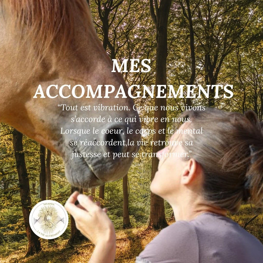 ✨ MES ACCOMPAGNEMENTS ✨

🌿 J&rsquo;accompagne les cavaliers, ainsi que les adultes et les jeunes, dans des passages de vie o&ugrave; quelque chose cherche &agrave; se r&eacute;ajuster &mdash; dans la relation au cheval comme dans la relation &agrave