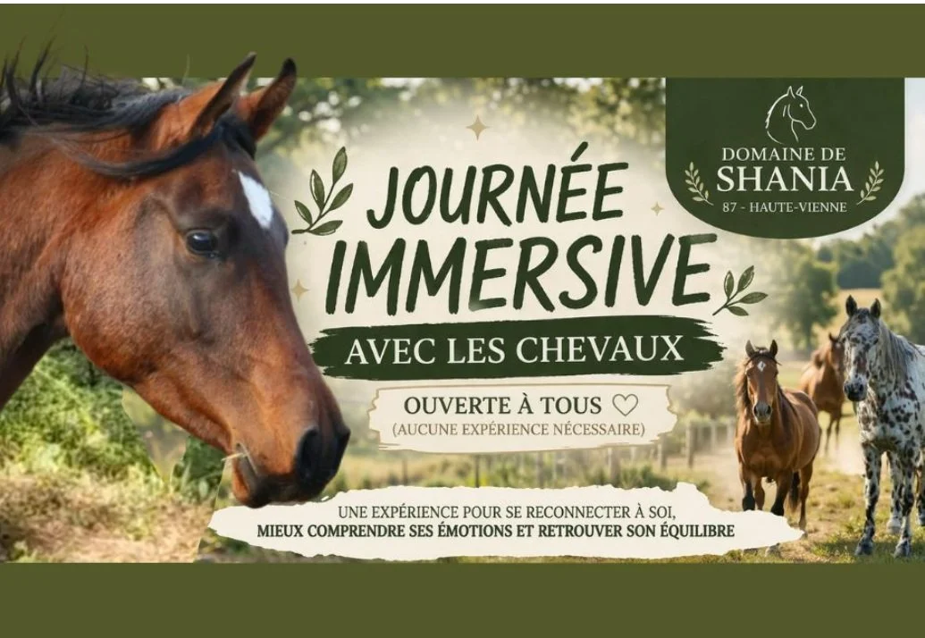 Journée immersive avec les chevaux ouverte à toutes et à tous