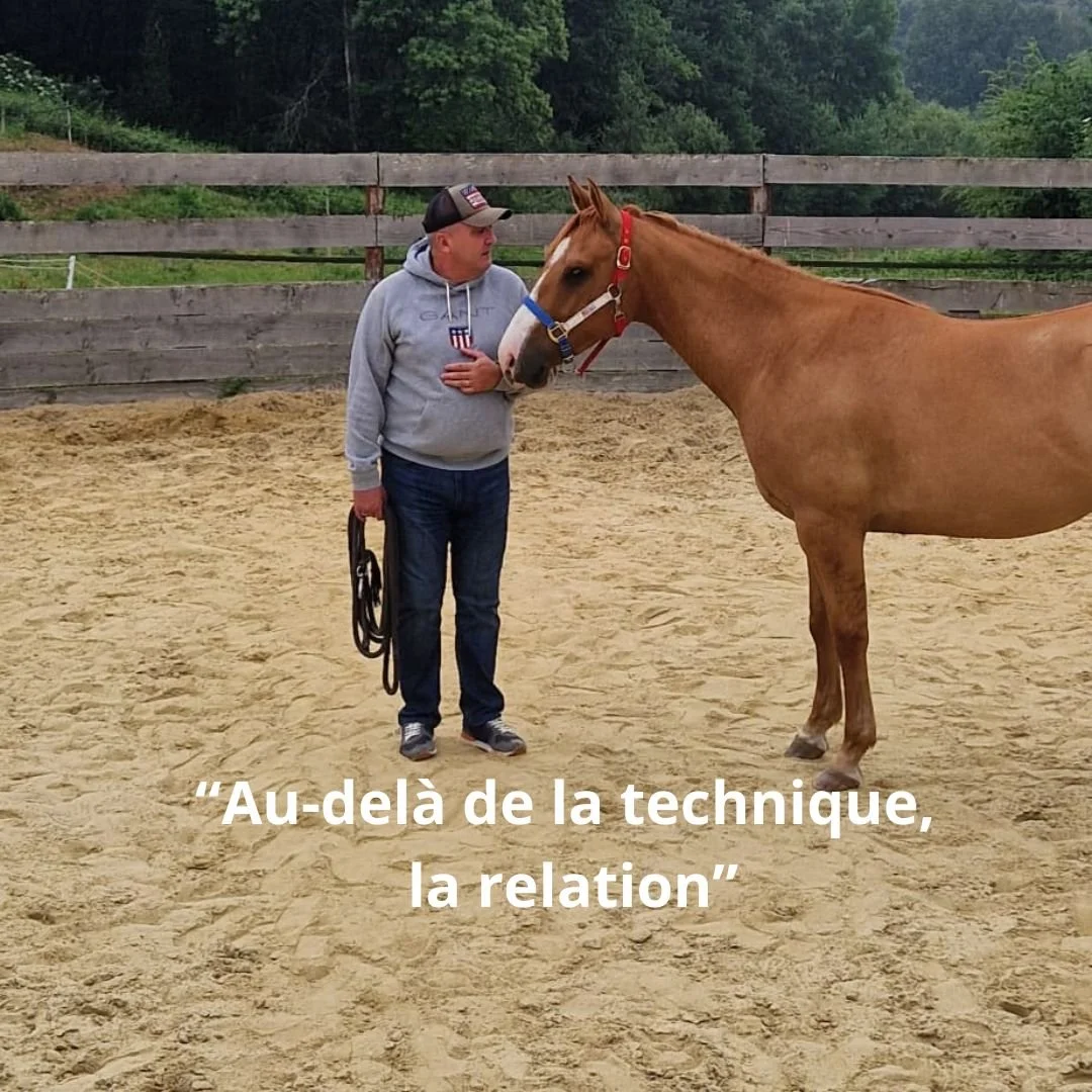 🌟Hier, j&rsquo;ai eu la joie d&rsquo;accompagner Xavier, un cavalier autodidacte qui a grandi avec les chevaux. Depuis tout petit, il baigne dans cet univers avec une passion qui ne l&rsquo;a jamais quitt&eacute;.
Il y a 14 ans, il d&eacute;couvre l