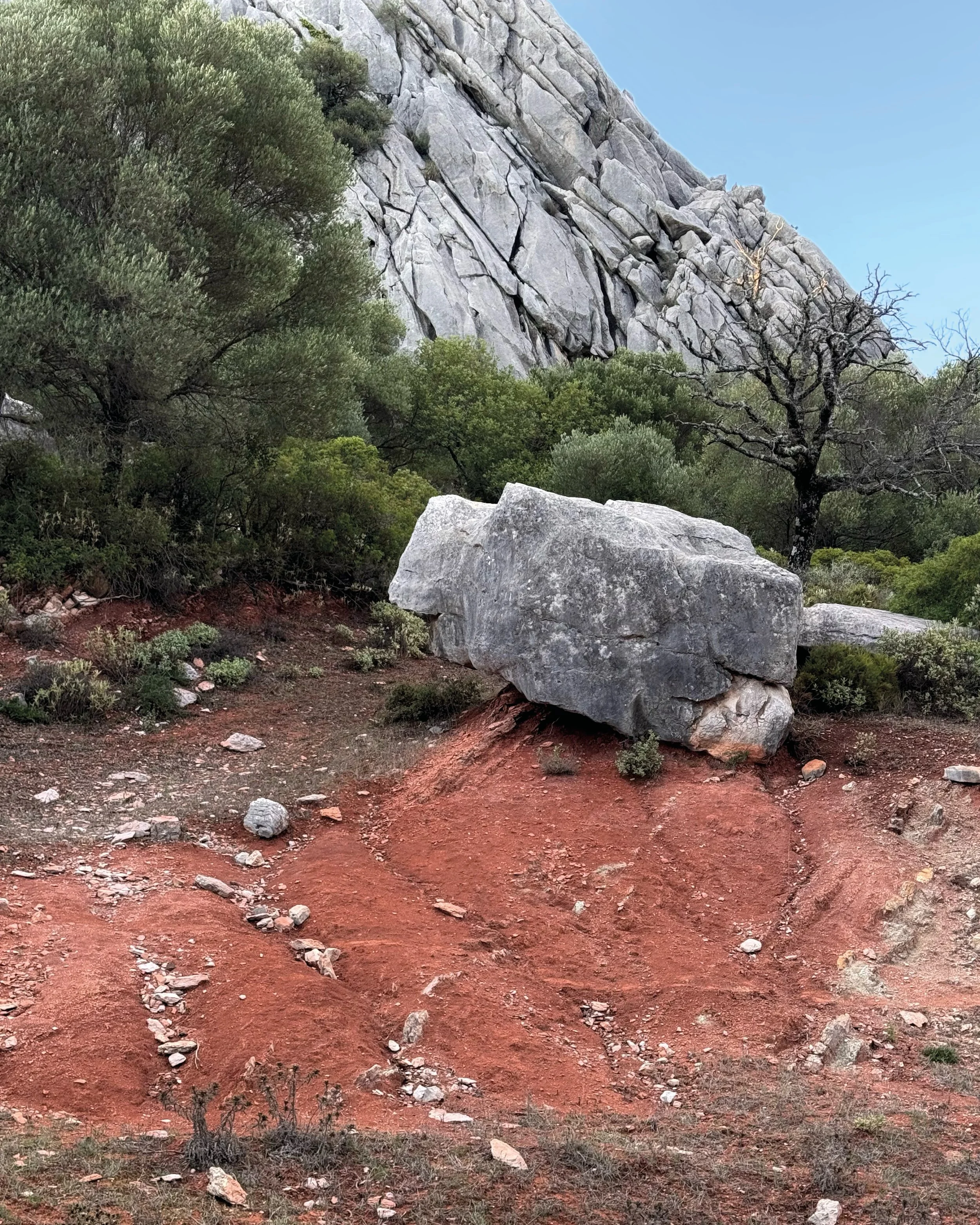 PUBLI INSTA-2025-03-13-6.jpg