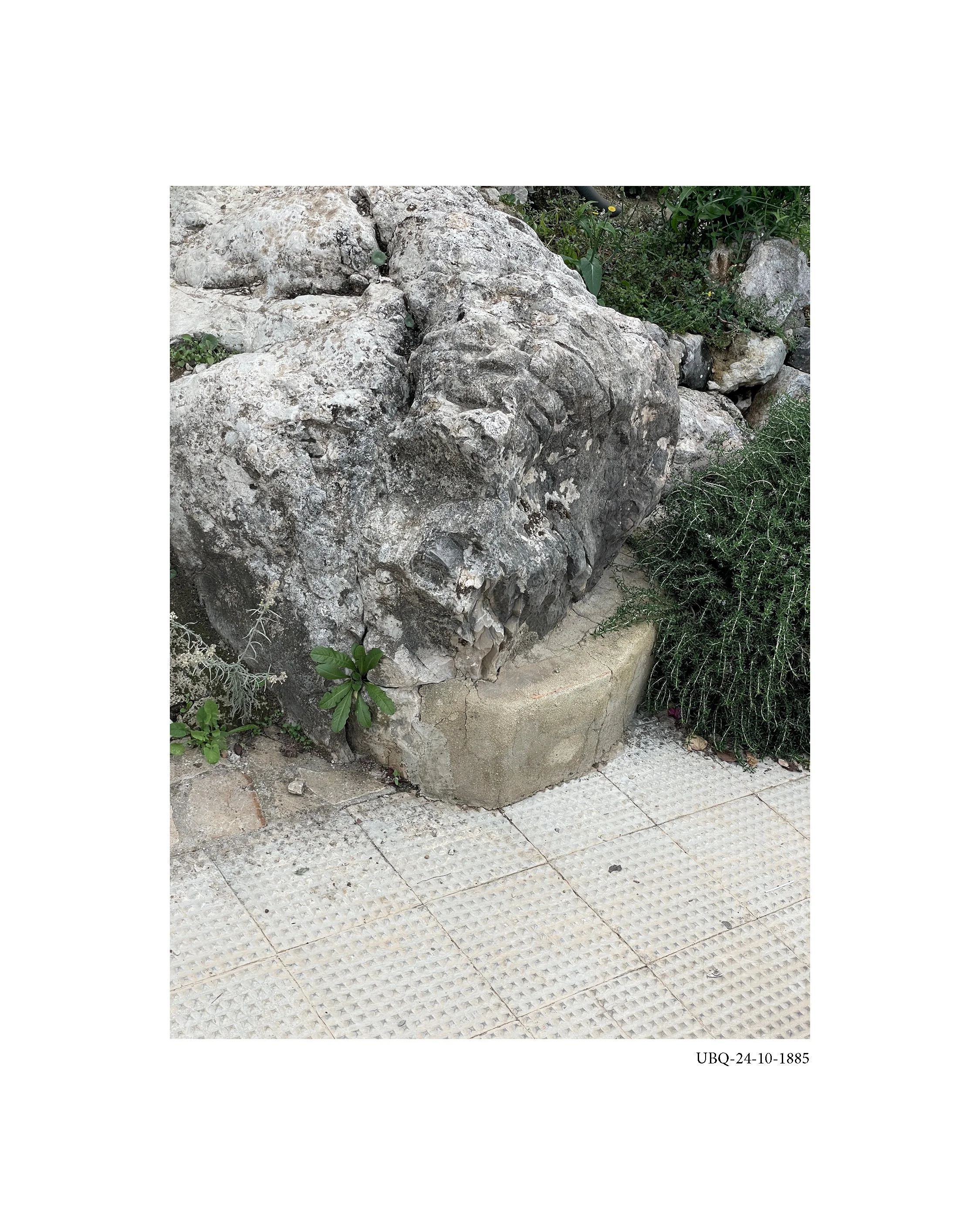 PUBLI INSTA-2024-12-08-.jpg