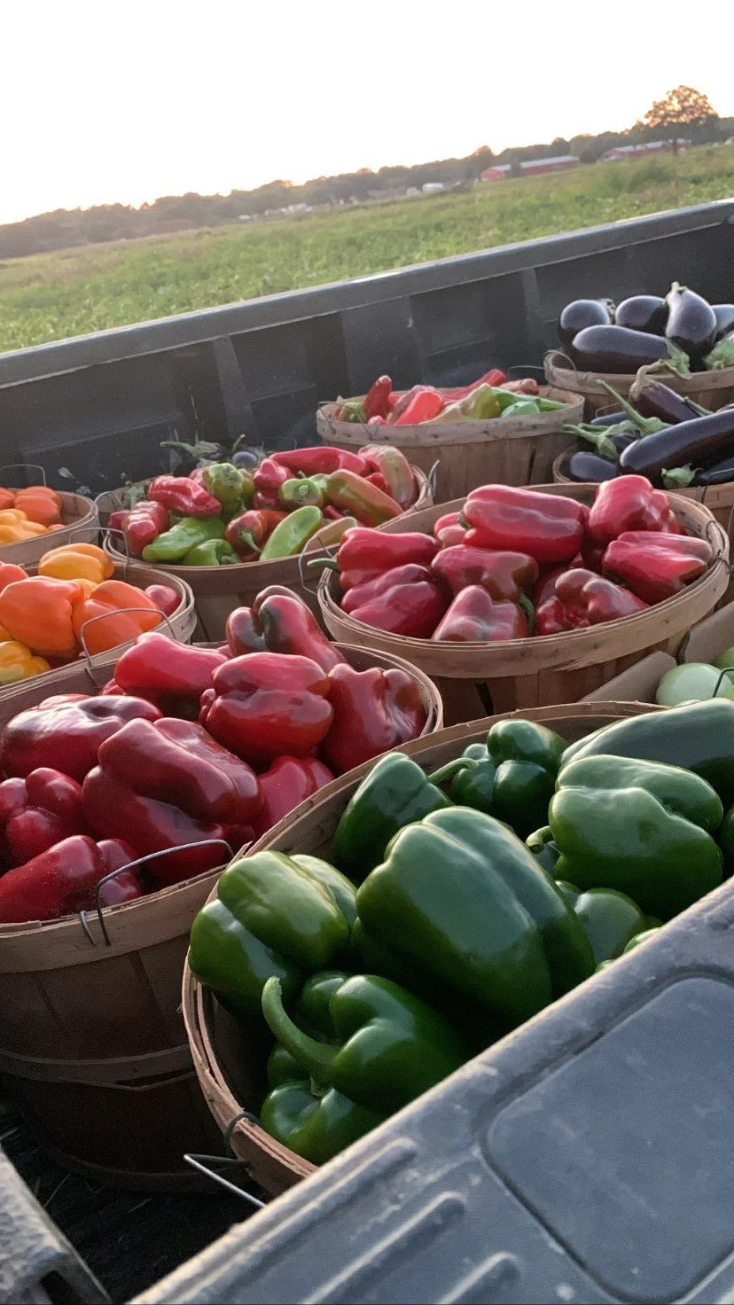 peppers mixed vegetables produce fresh hand picked lenny bruno farmstand farmer.jpg