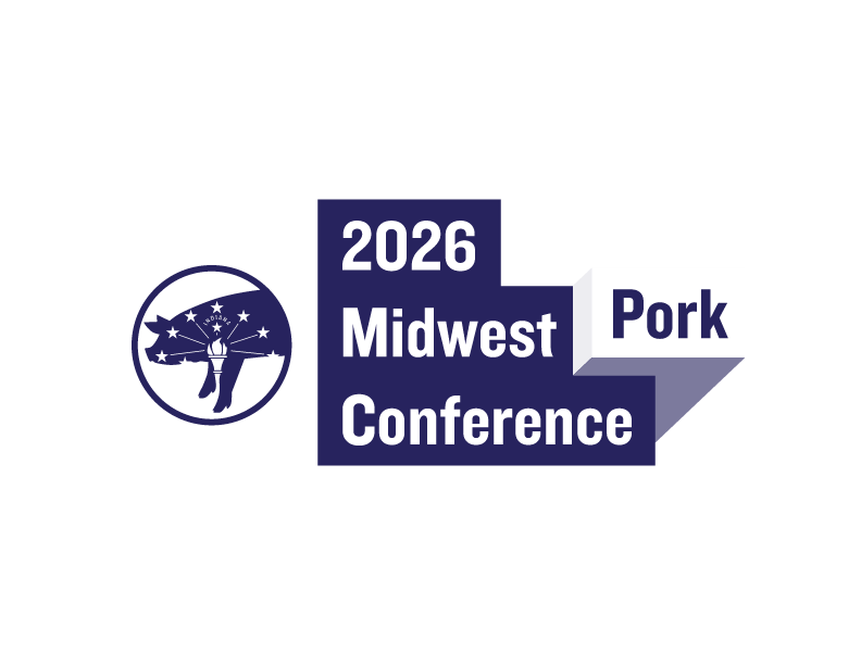 White pig with orange background