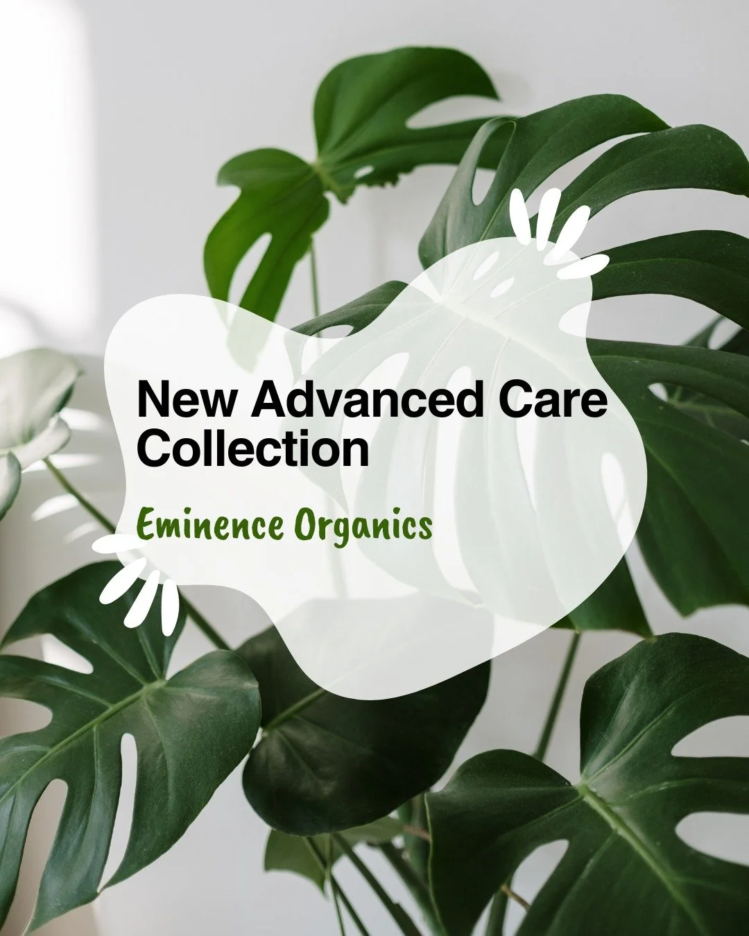 Introducing the 🌿Advanced Care Collection 🌿from Eminence Organic Skin Care, a results-driven lineup designed to support post-treatment skin, enhance professional services and elevate your daily ritual.

Thoughtfully formulated with advanced peptide