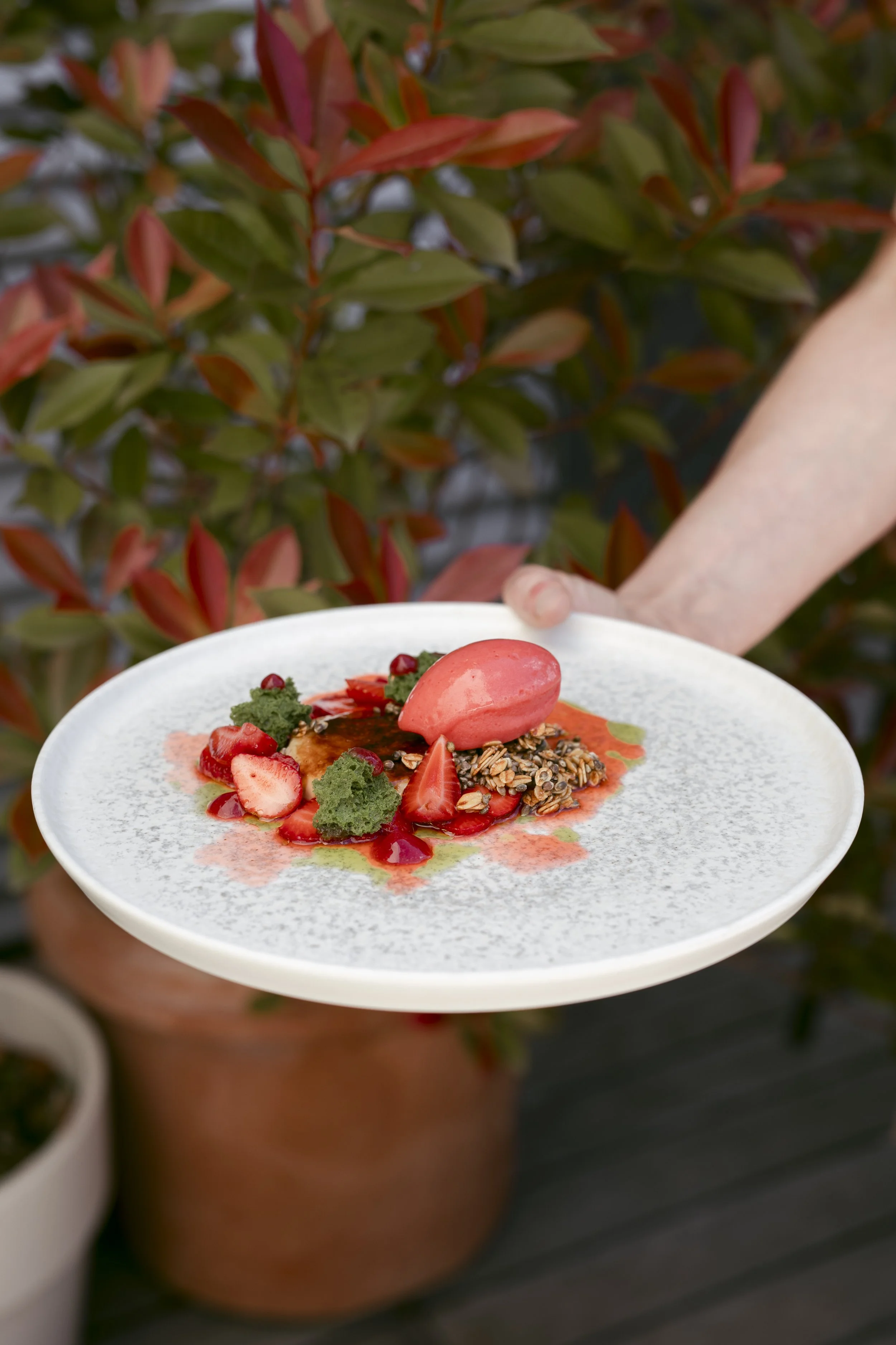 Osteria Bisnona - RSI